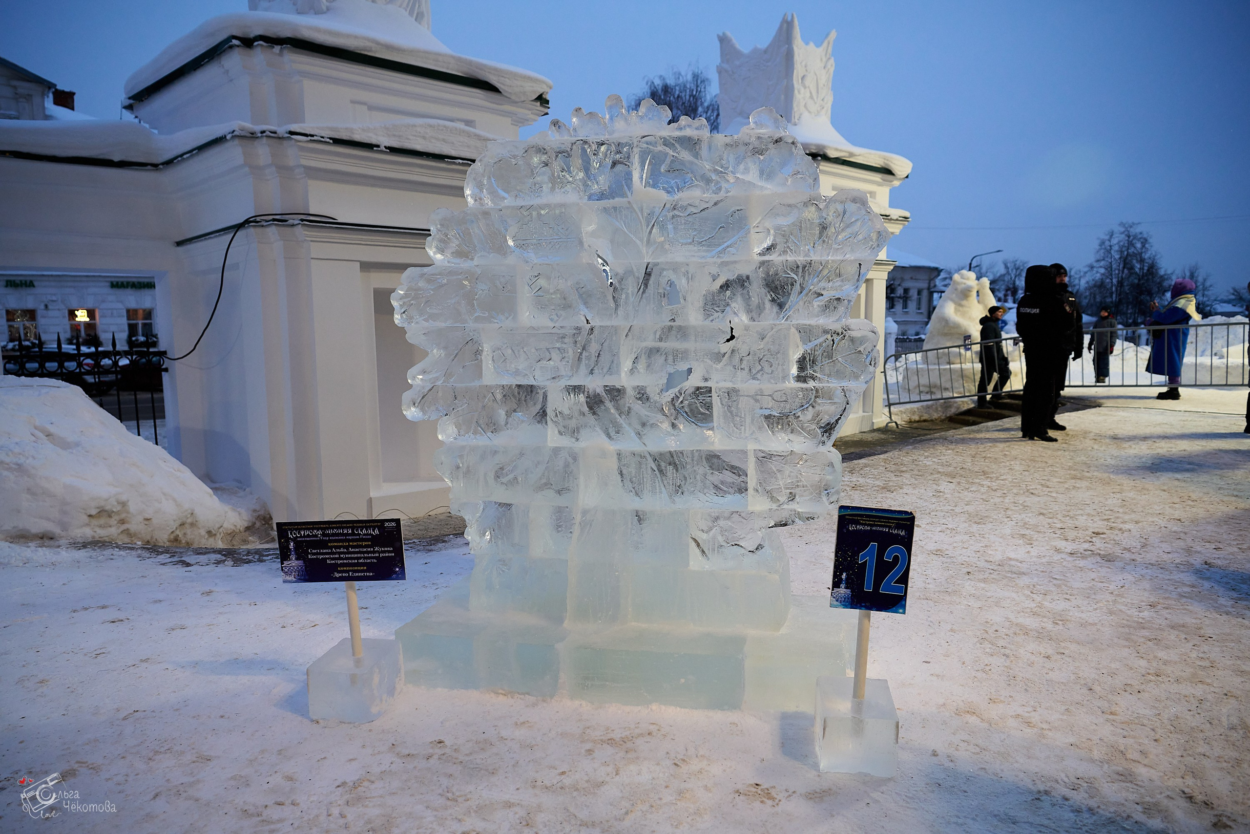 Кострома — зимняя сказка. Ольга Чёкотова (Фотограф Кострома)