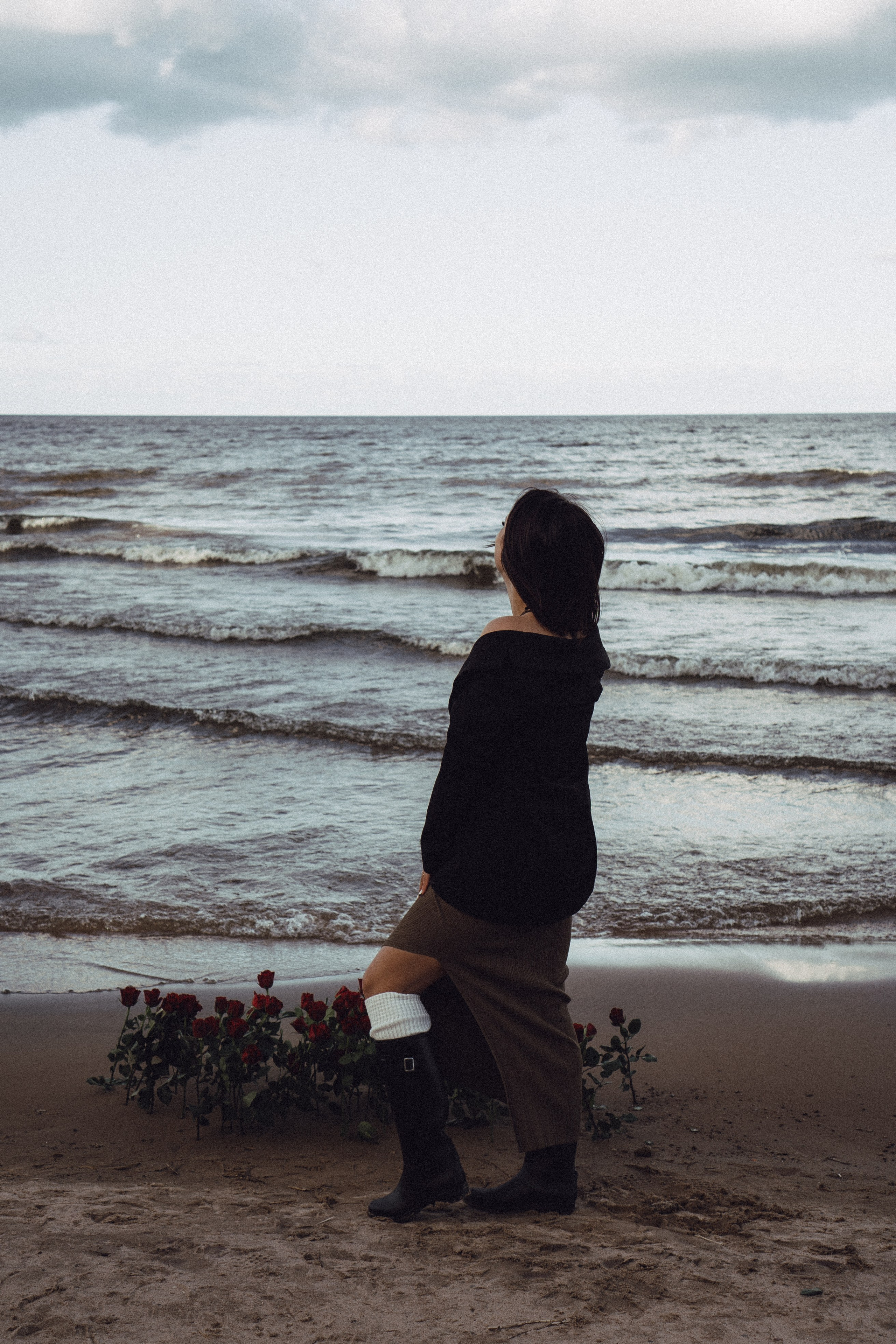 Розы. Профессиональный фотограф, Санкт-Петербург — Виктория Богомолова