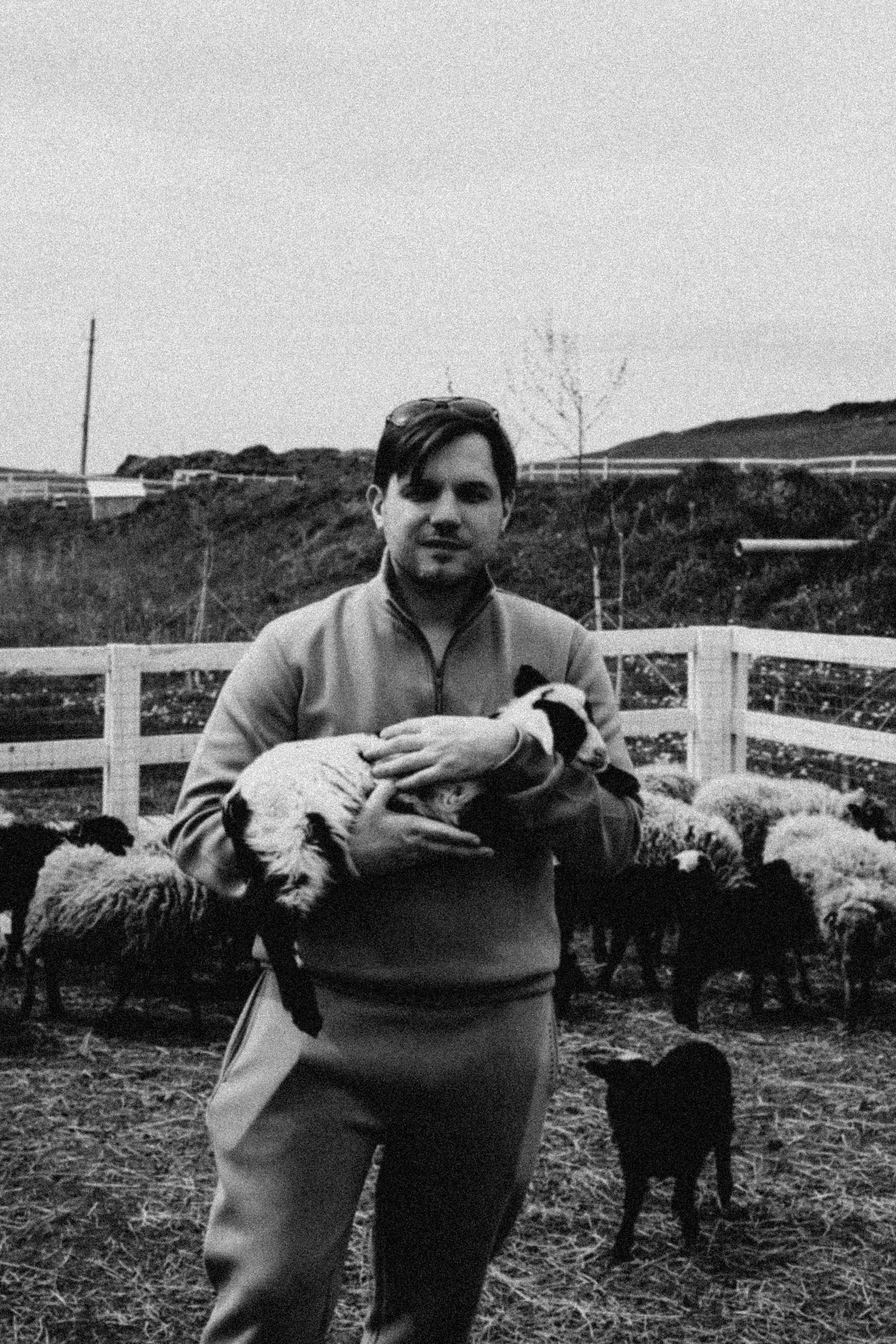 Ферма Альпак. Профессиональный фотограф, Санкт-Петербург — Виктория Богомолова