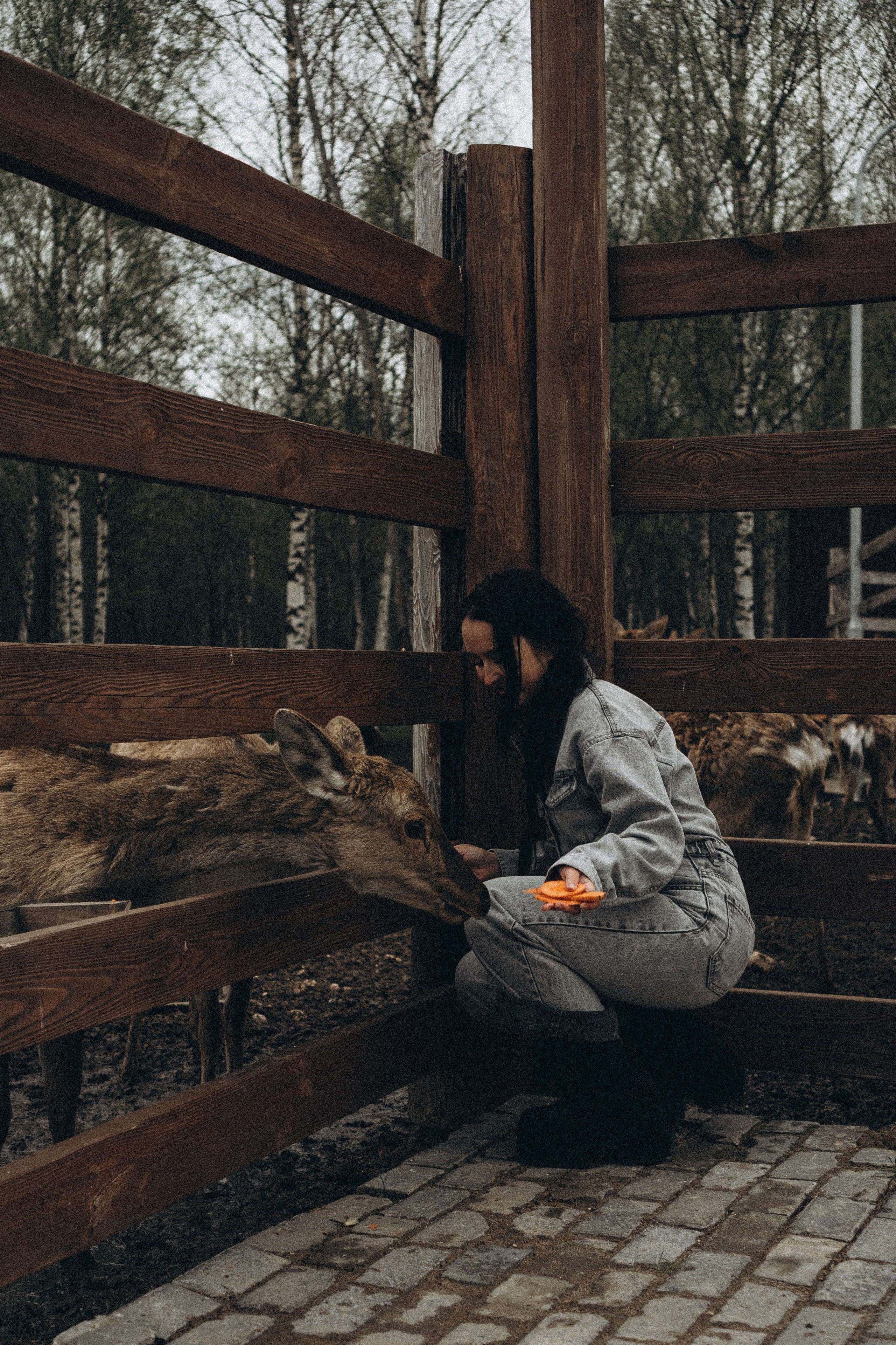ОЛЕНЬЯ ФЕРМА В ТВЕРИ. Профессиональный фотограф, Санкт-Петербург — Виктория Богомолова