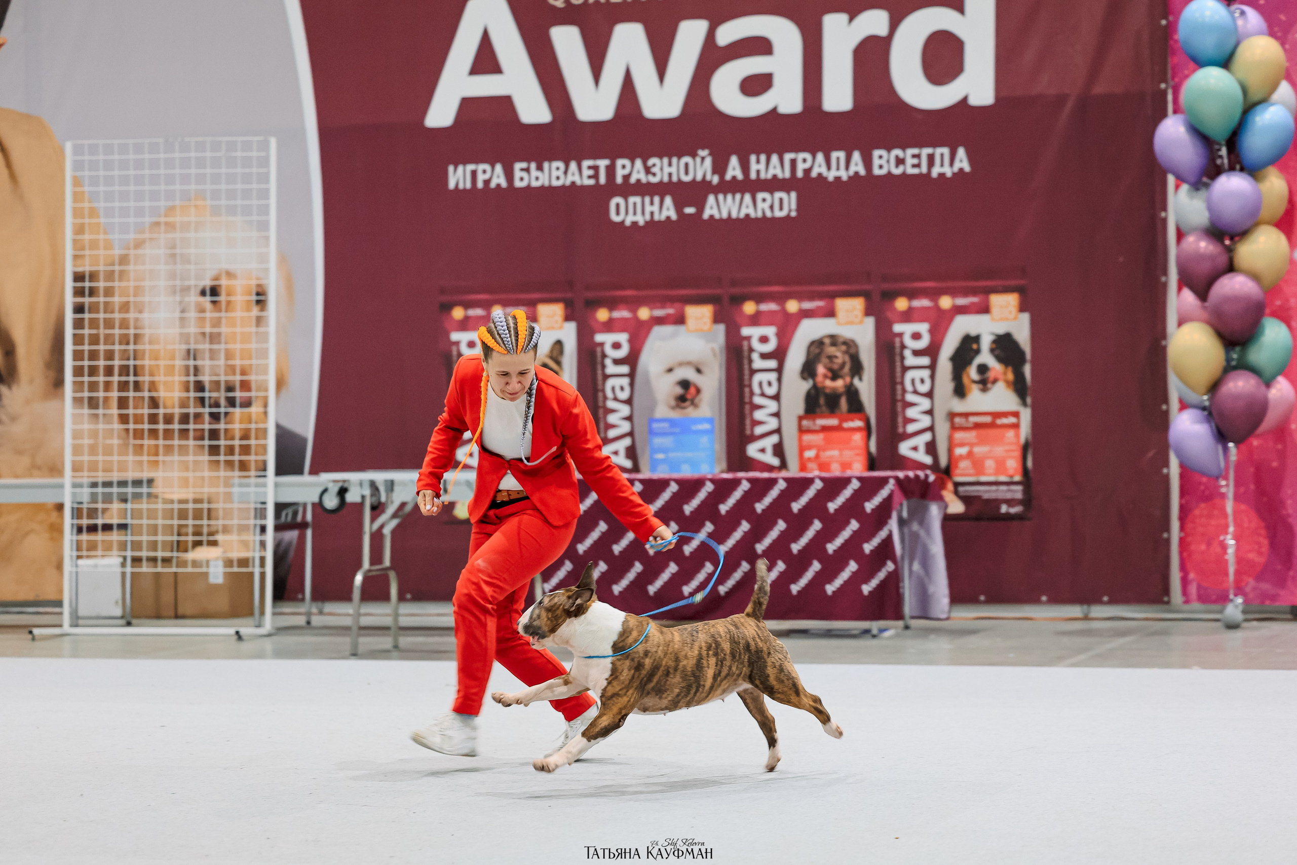 28-29.03.2026 Рейтинговая выставка в Новосибирске. Фотограф Анималист из Новосибирска Татьяна Кауфман