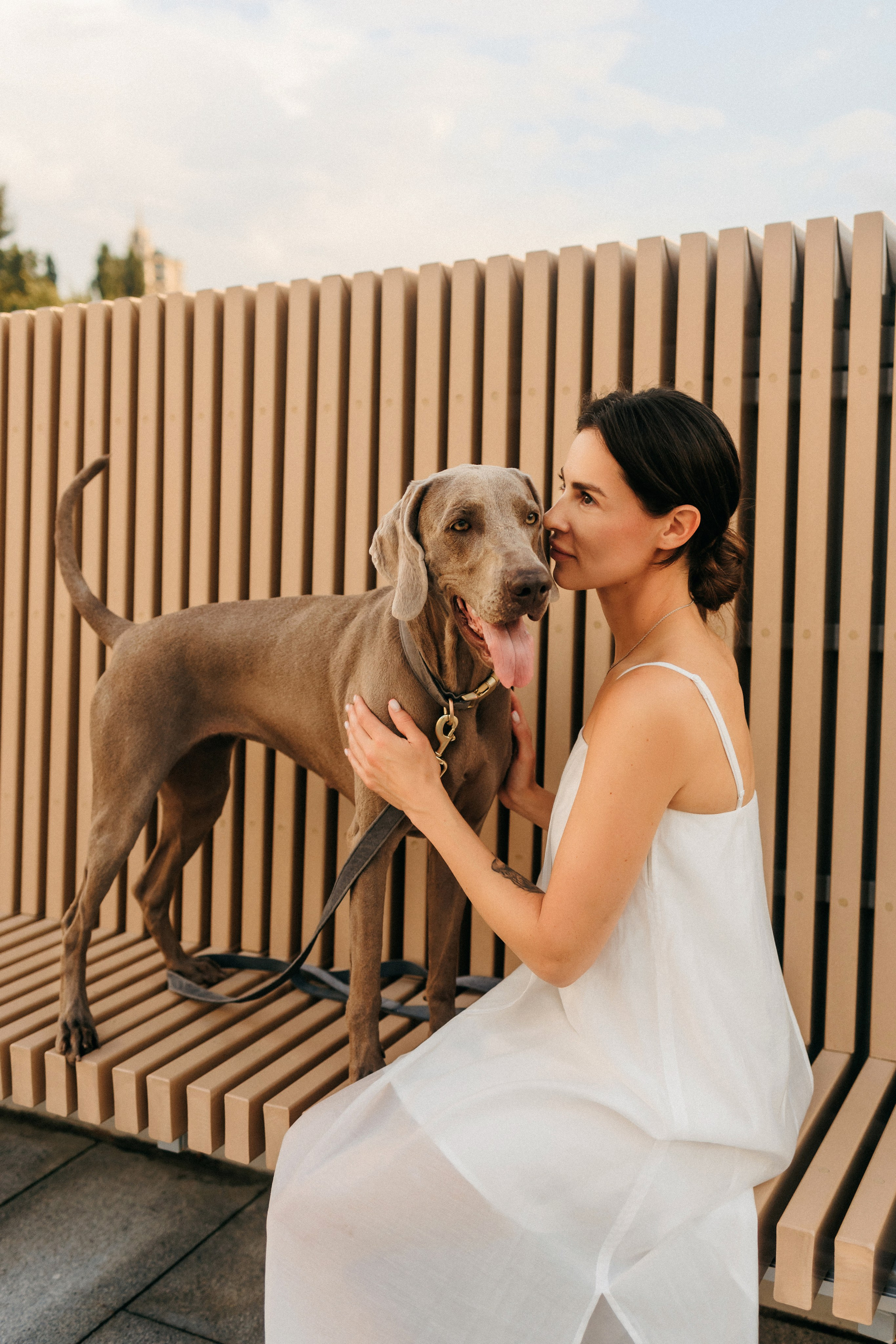 Соня и Майли. Фотограф-анималист Елена Радченко, Москва