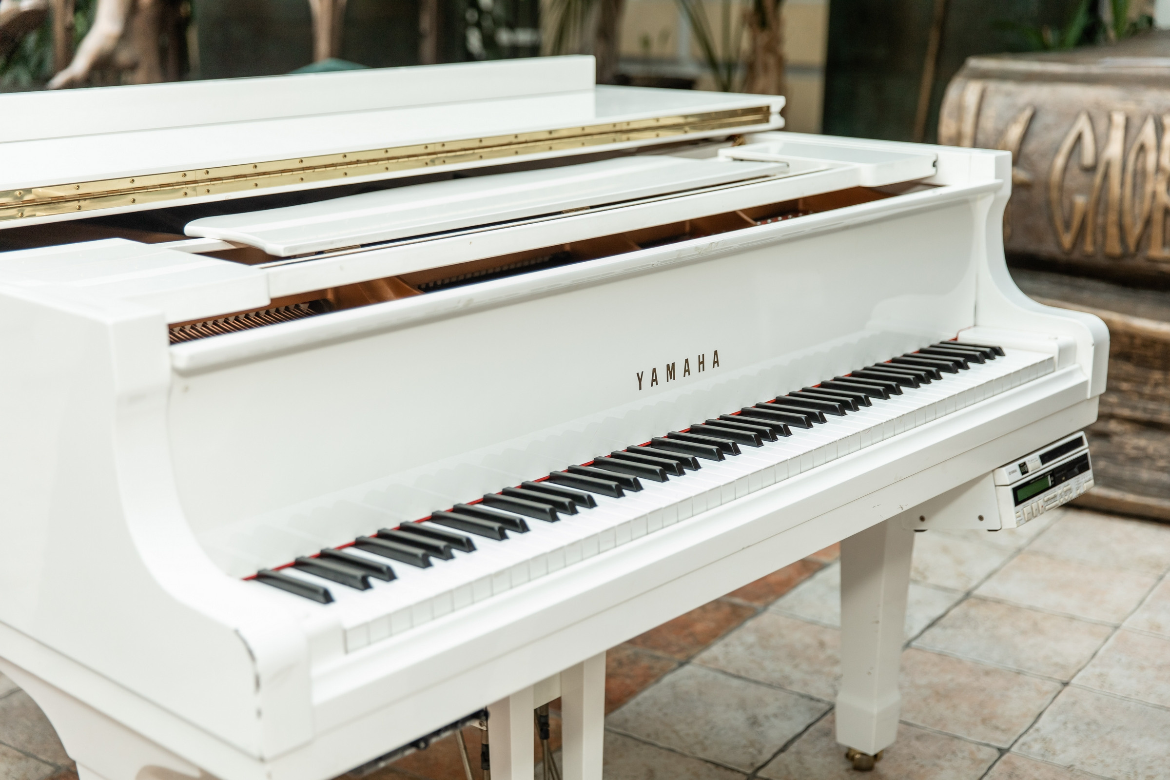 Юбилей 50 лет (Галерея искусств Зураба Церетели). Татьяна Чернышова свадебный фотограф Москва