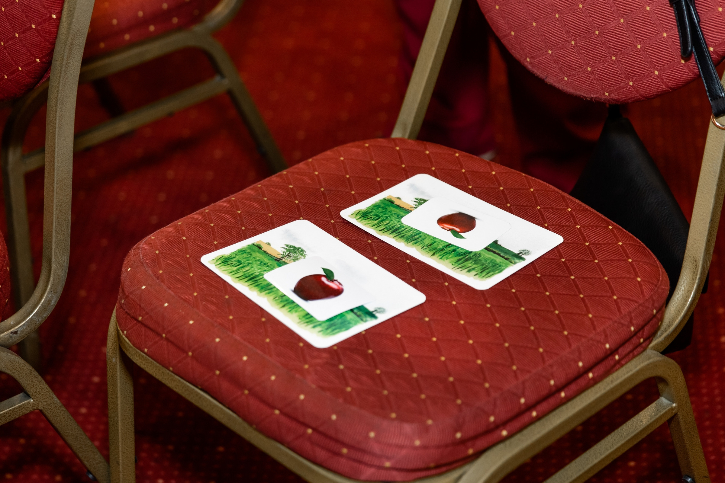 Бизнес игра LAYHER. Татьяна Чернышова свадебный фотограф Москва