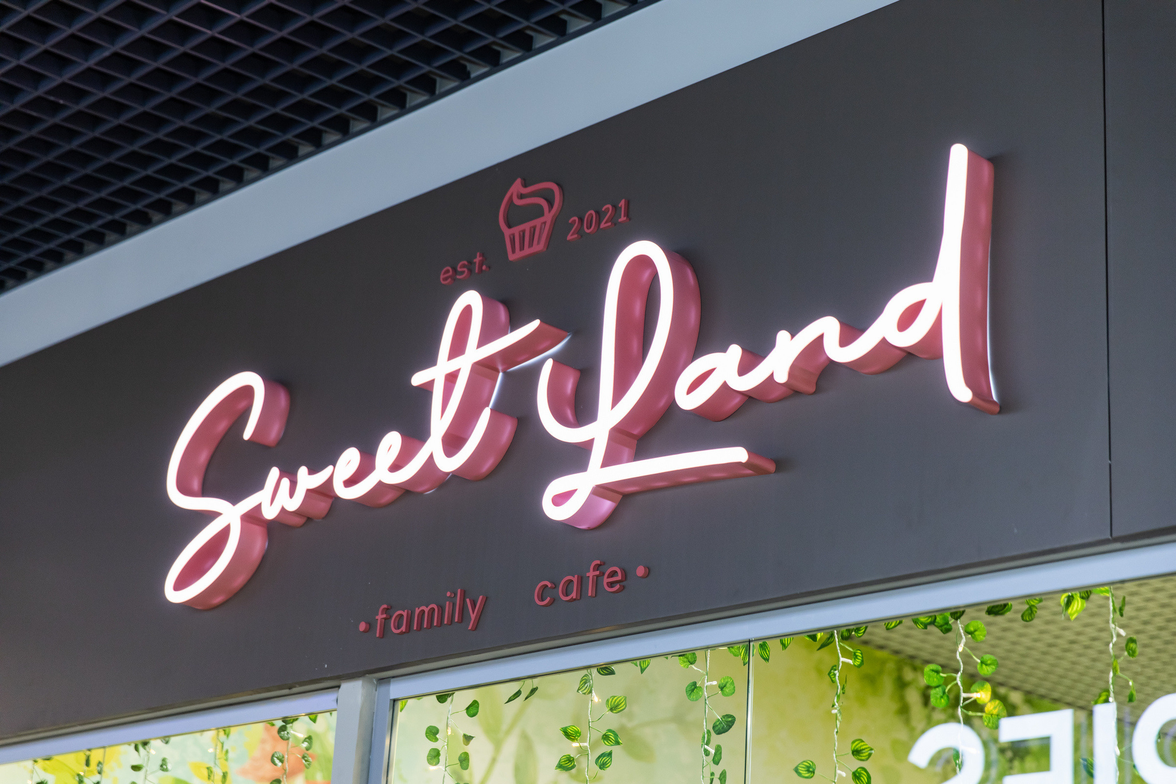 Открытие детского кафе. Татьяна Чернышова свадебный фотограф Москва