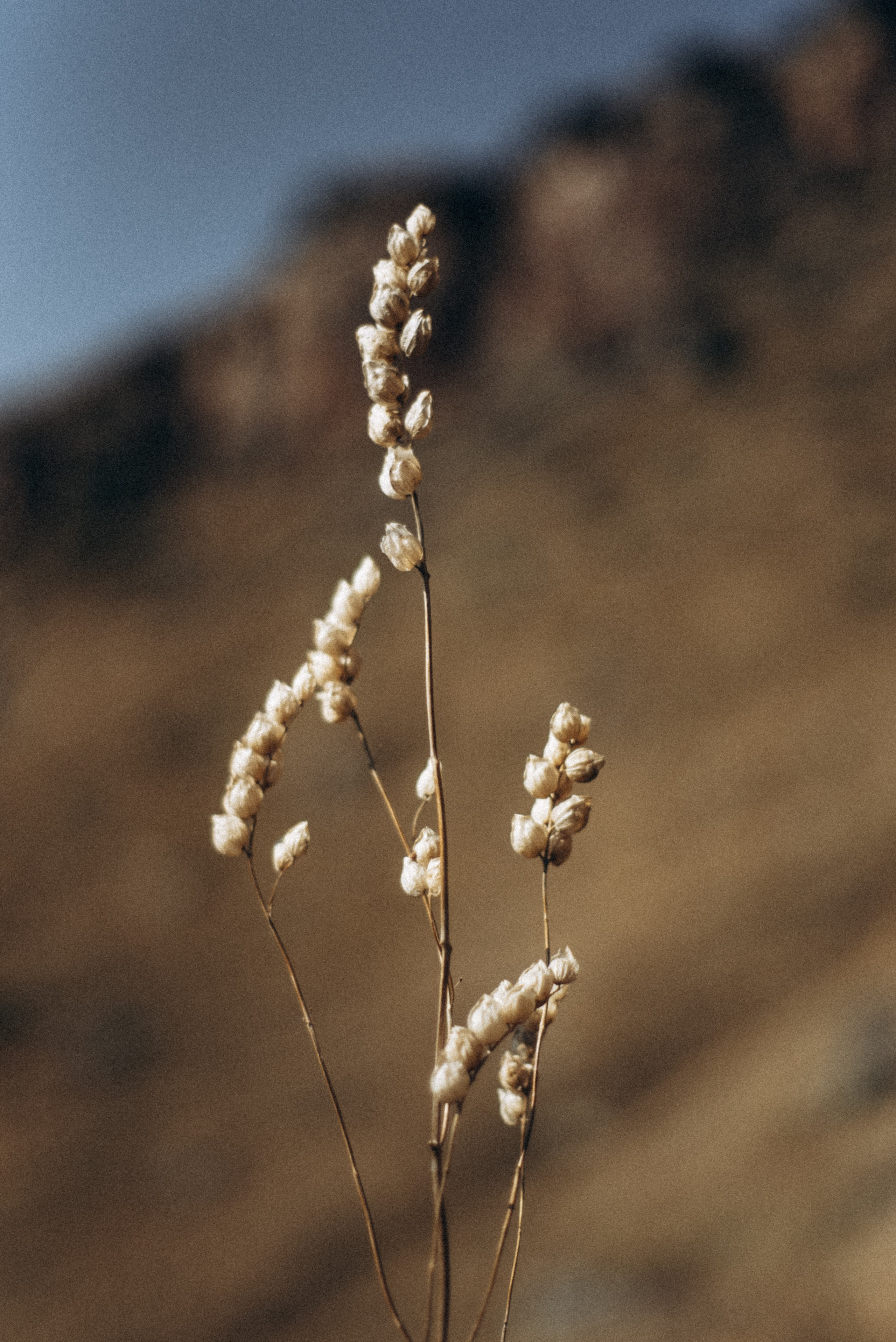 Казбег, Грузия 🇬🇪. Anita_photo