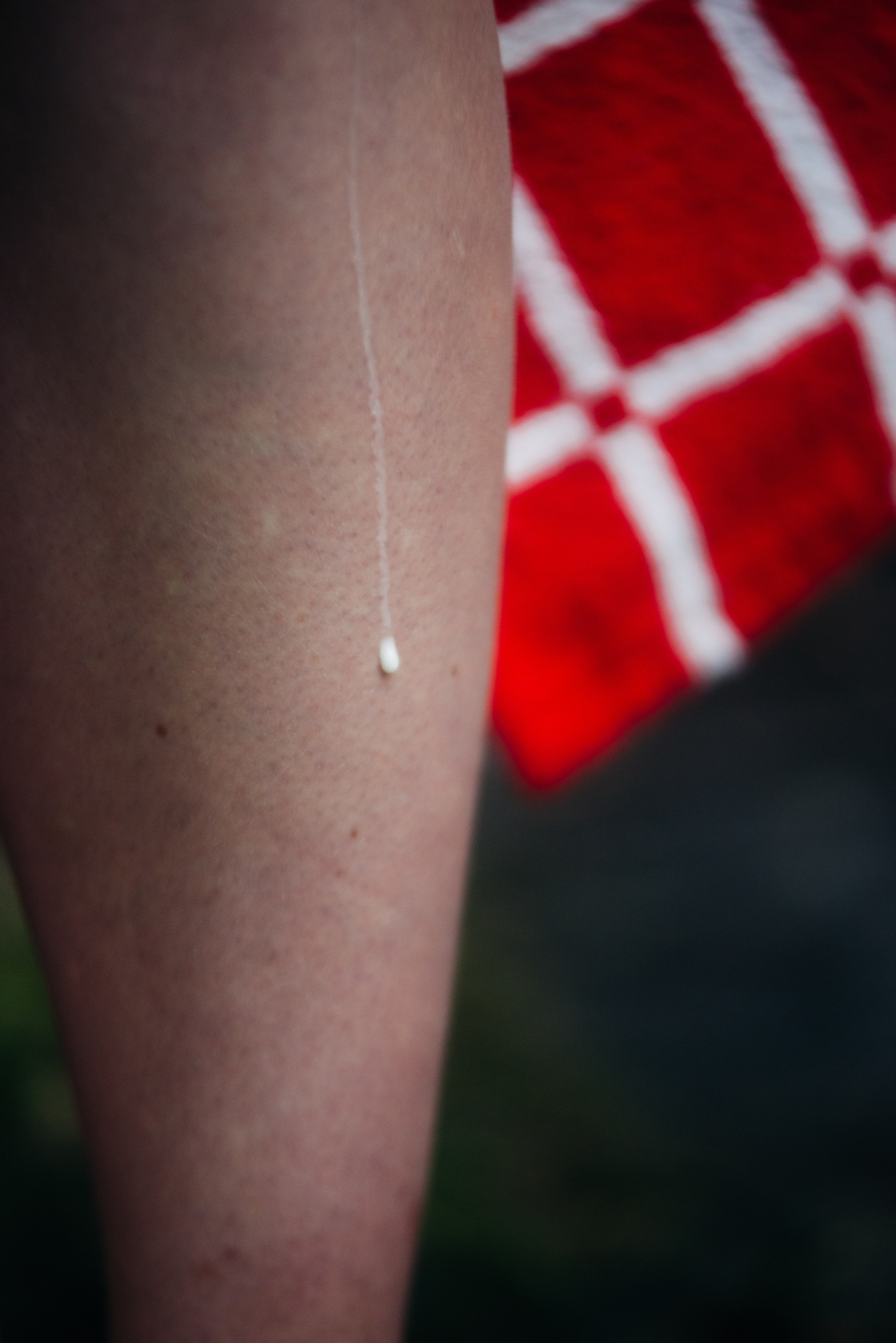 Красное на зелёном. Репортажный и портретный фотограф в Липецкой, Воронежской, Московской области Тёма Белоусов