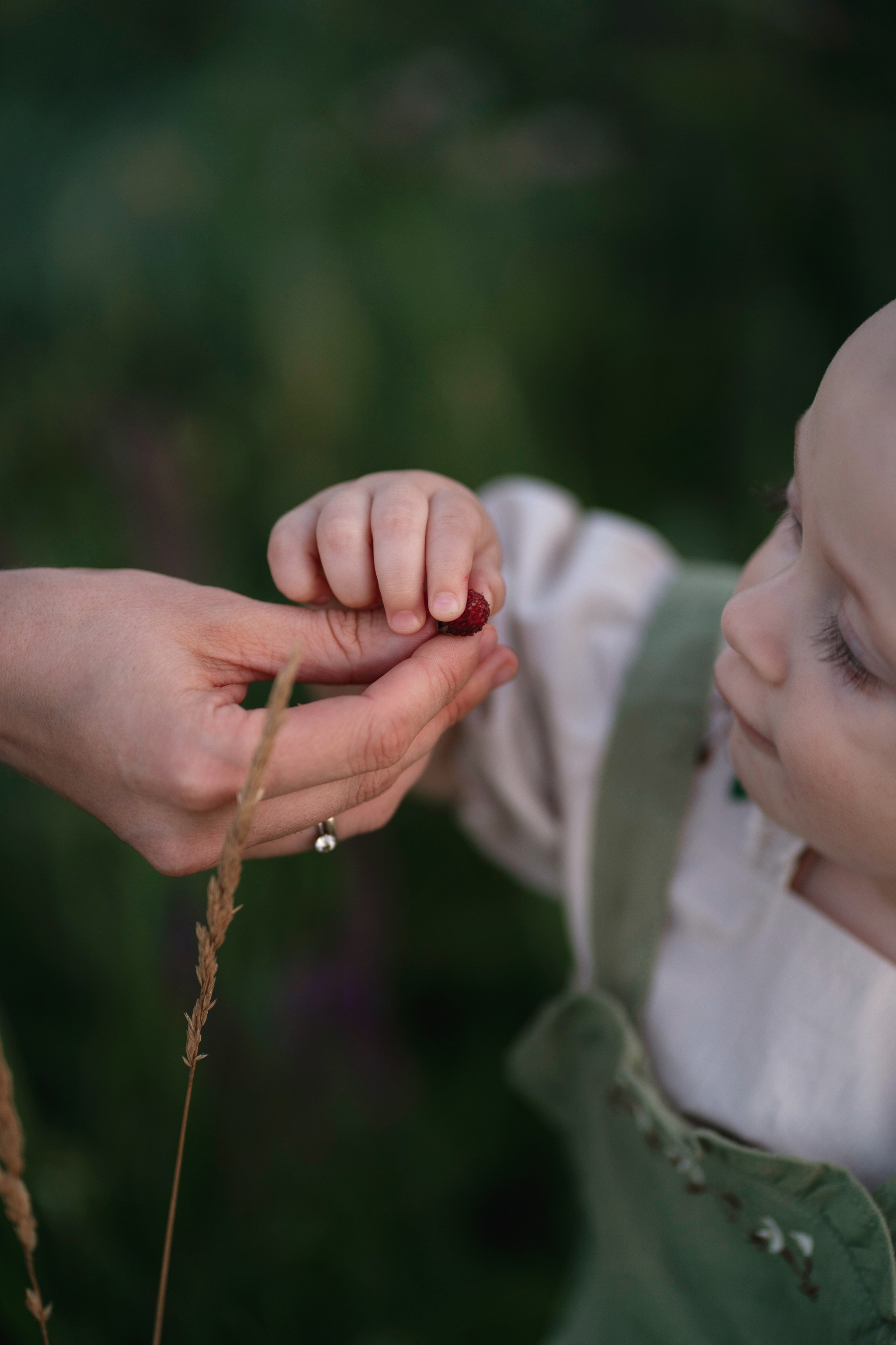 Услуги. Семейный и детский фотограф Мария Лютикова