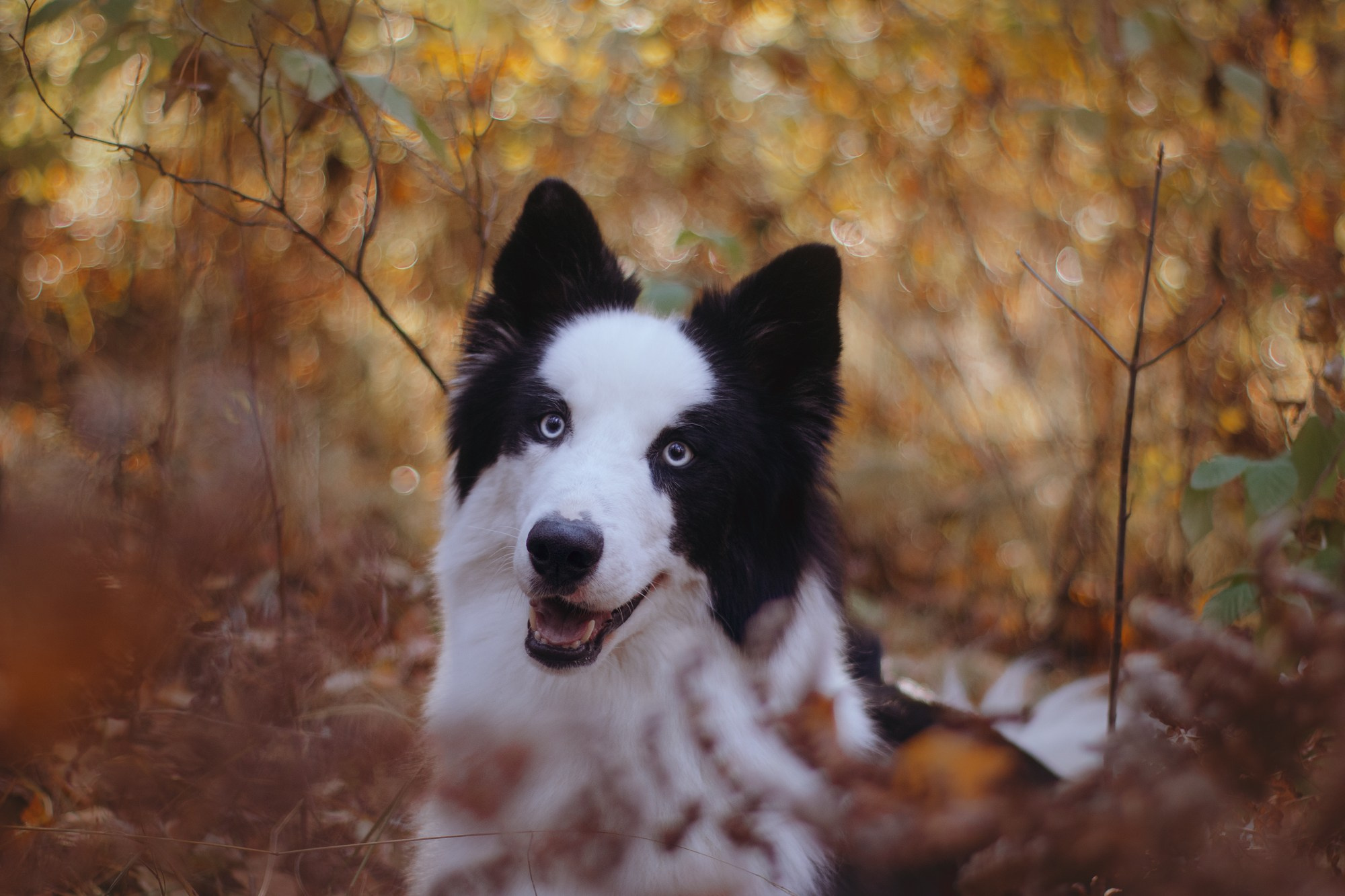 Ликёр. Фотограф в Тюмени Лизавета Сапицкая