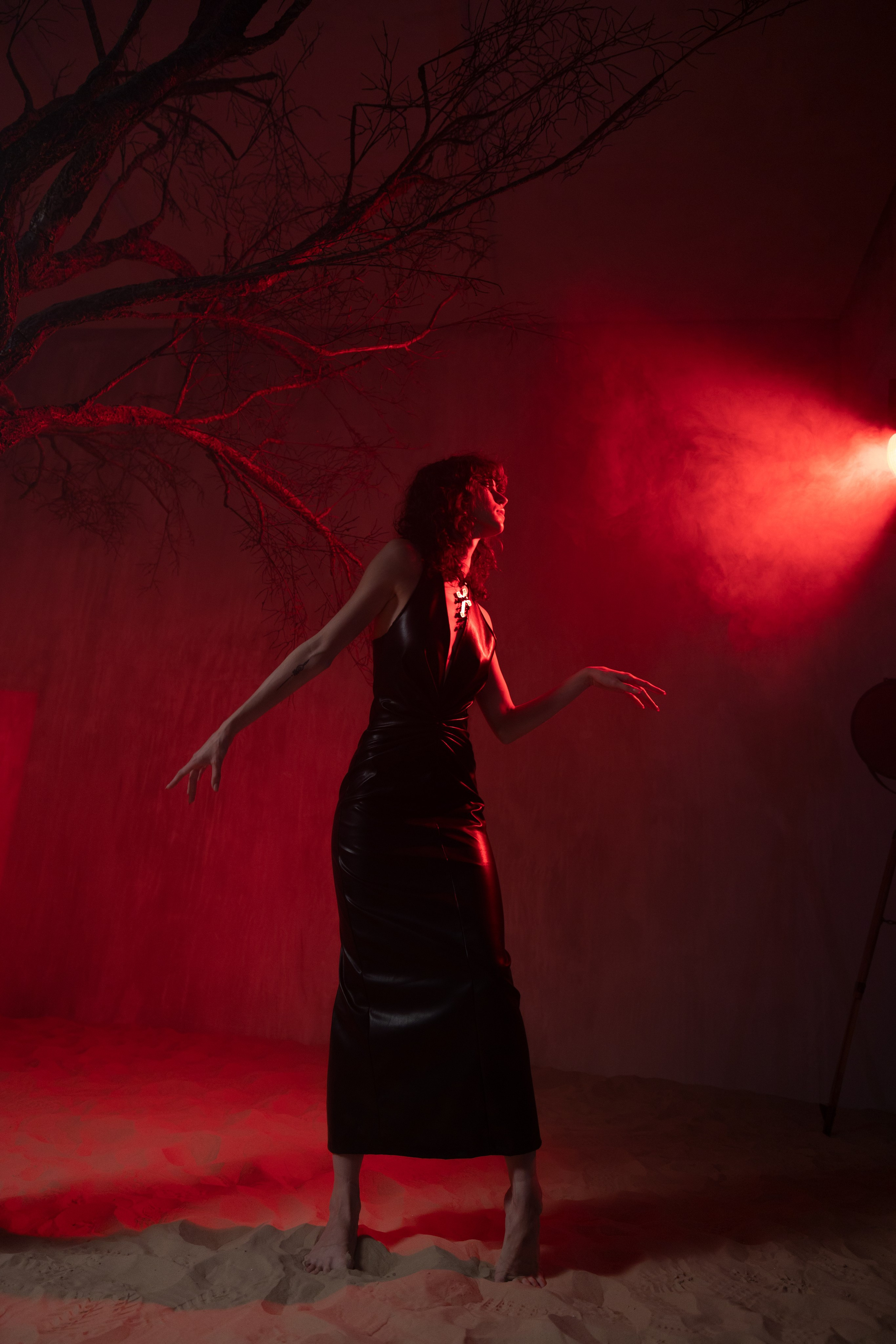 Студийное. Photomantis