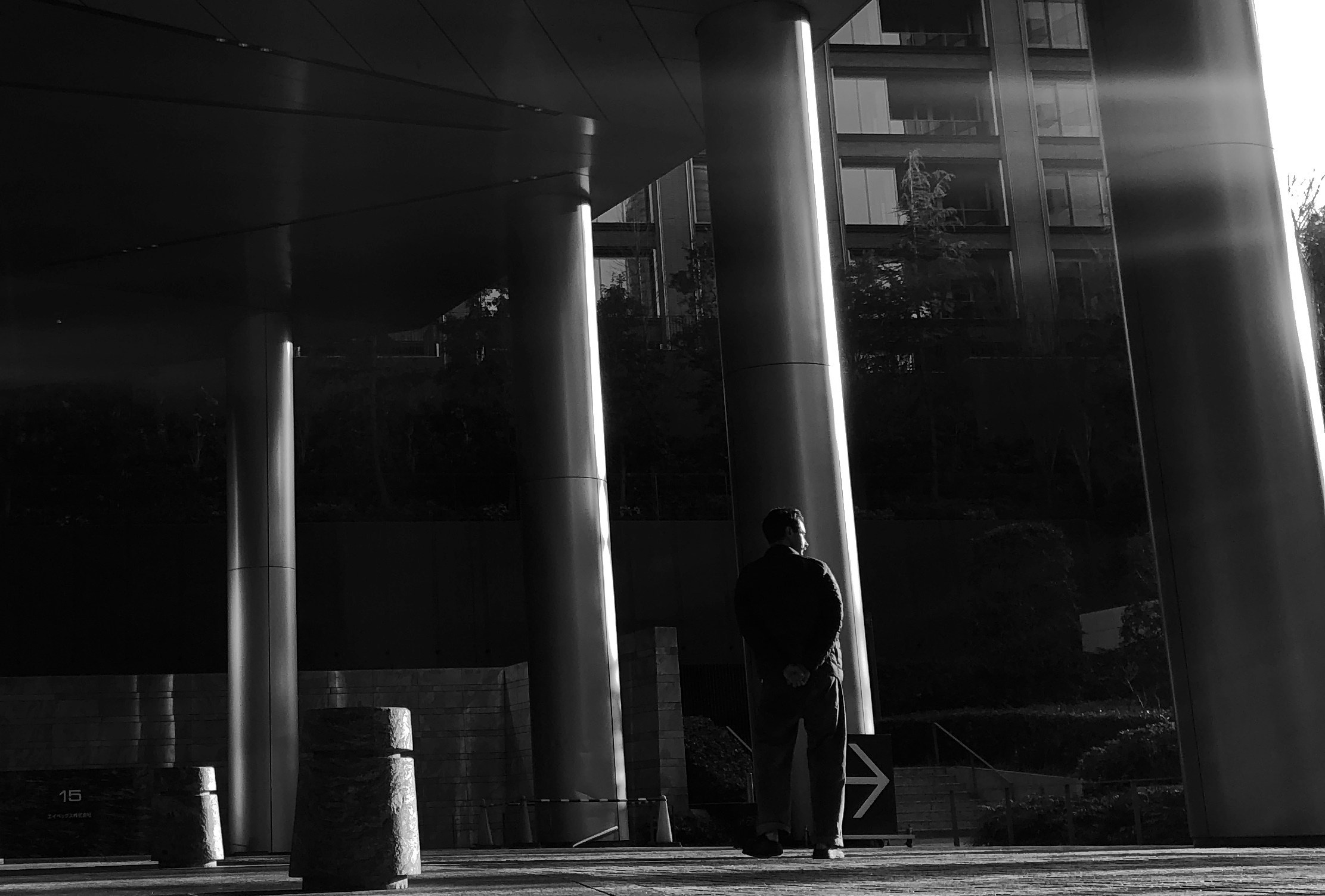 Кисловодск — Токио. Смотри, красота!