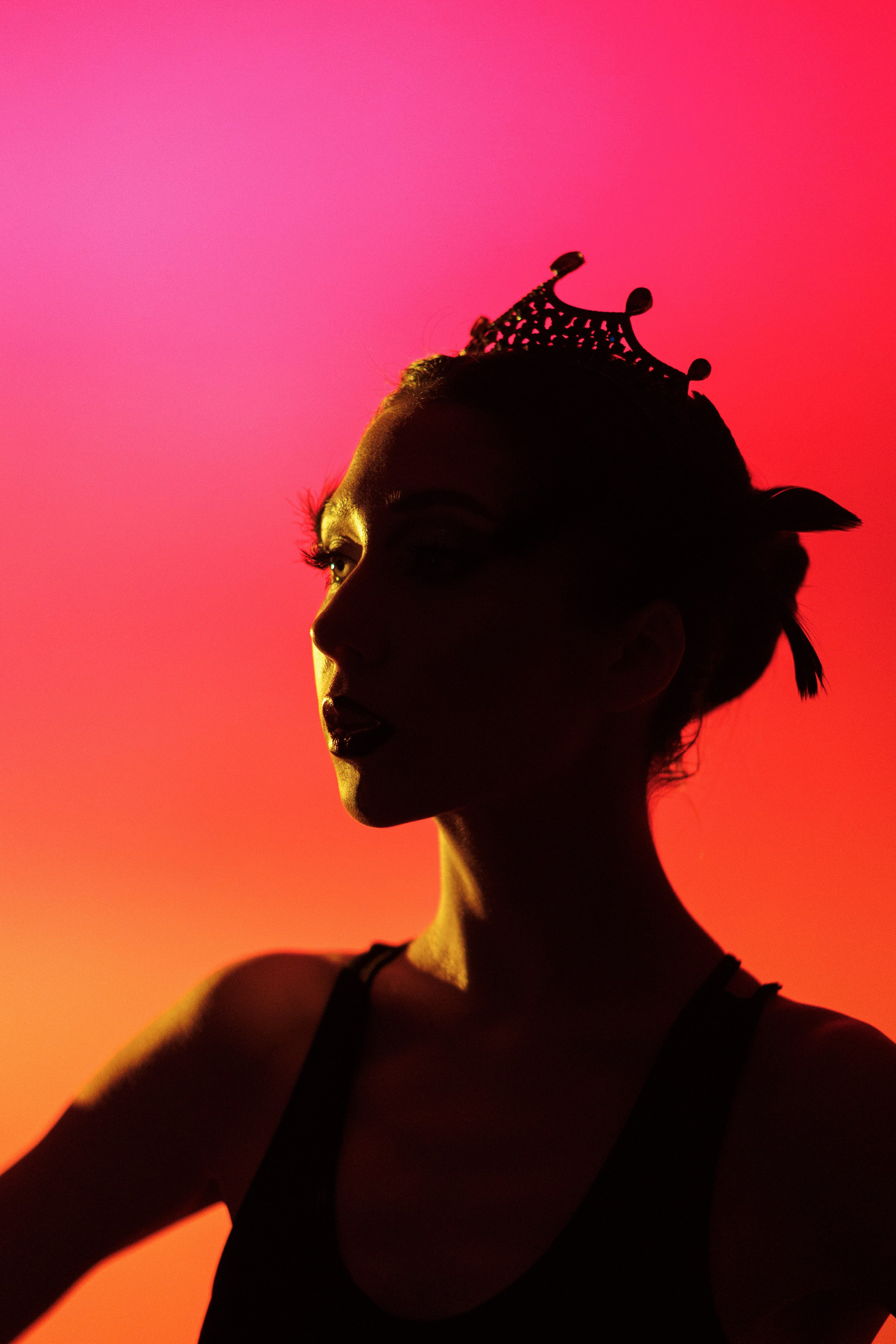 Черный лебедь. Марковкина КрисТина