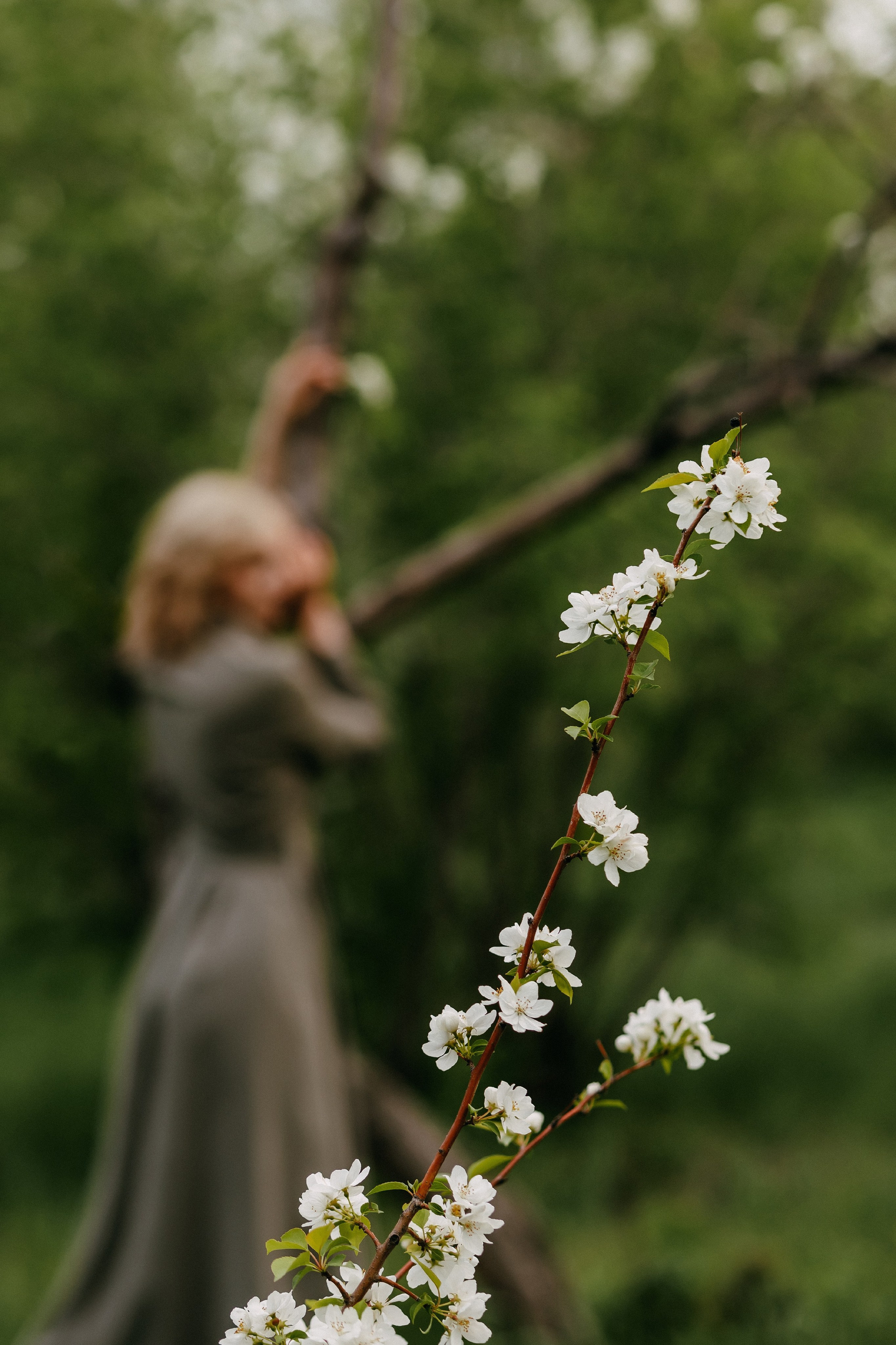 Цветение. Мария Стеклова контент фотограф и семейный фотограф в Омске и Тюмени