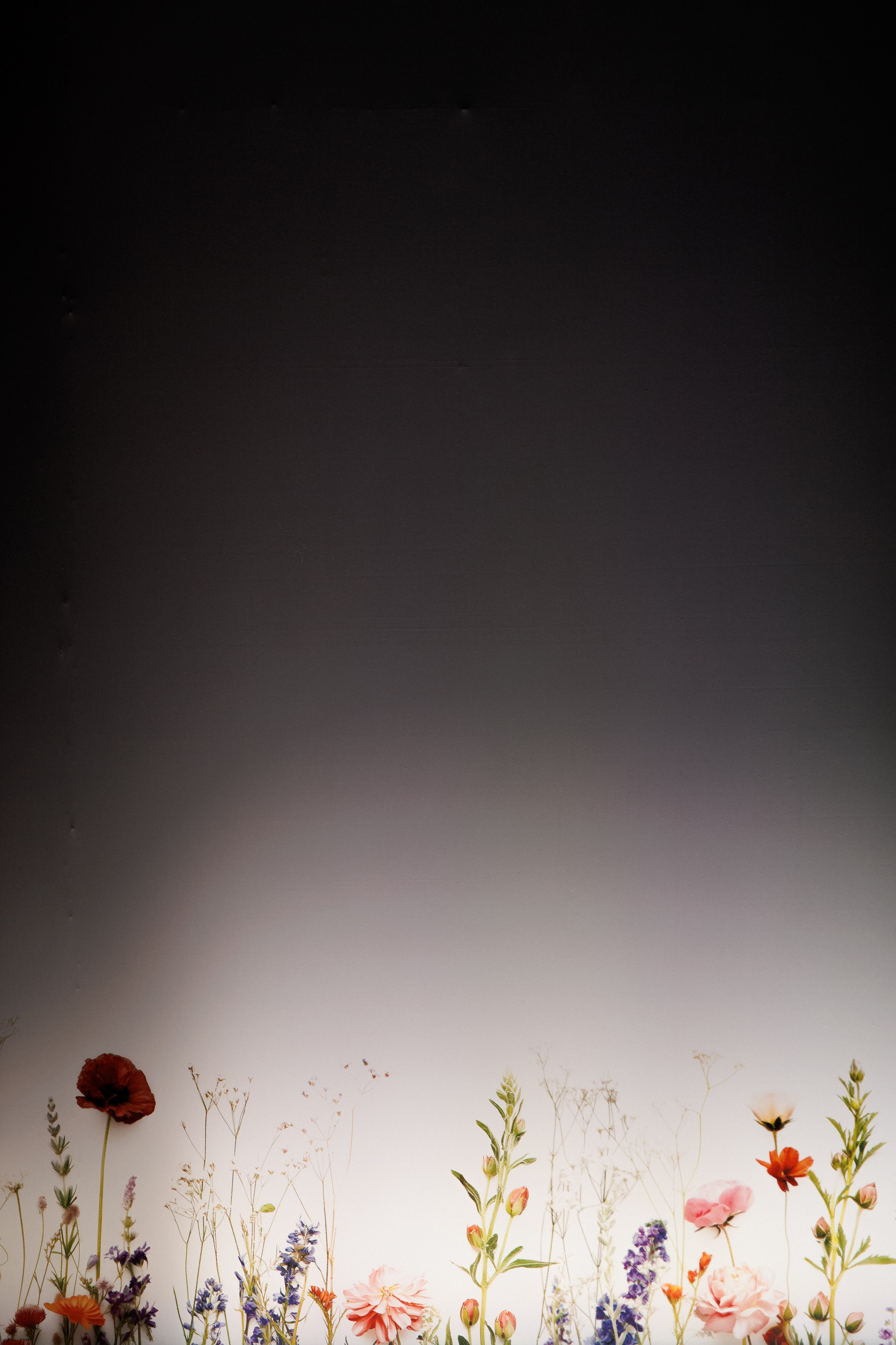 Fashion show SS24. Портфолио