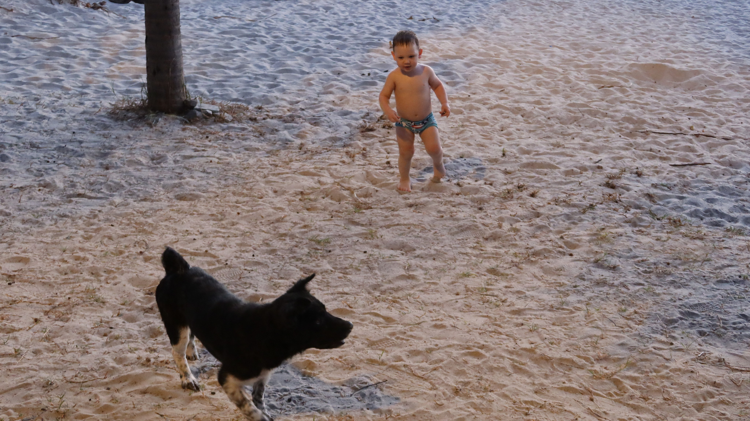 Тайланд 2020 г. Улица, люди, жизнь…