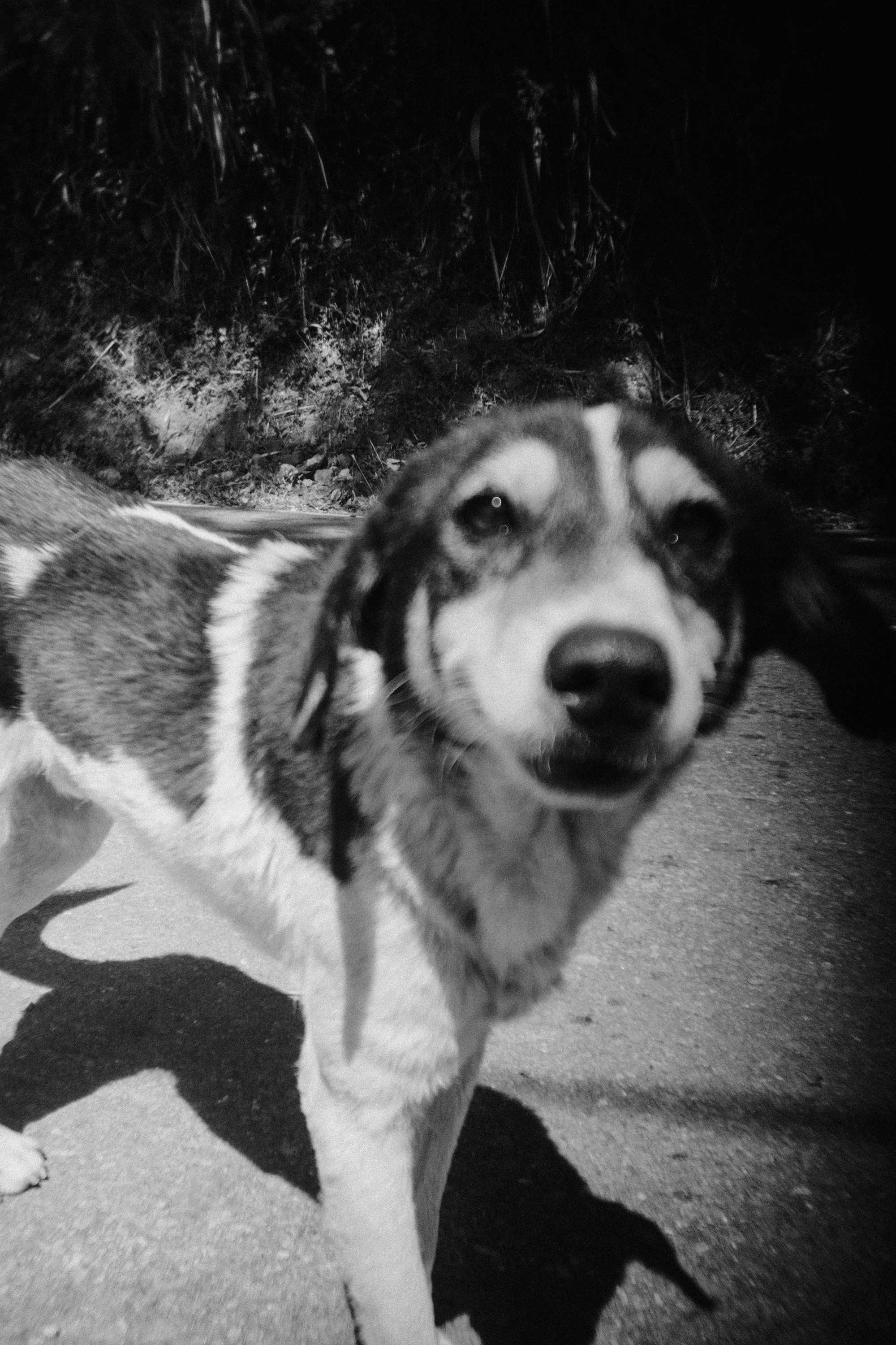 Шри + Бангкок. Фотограф Тбилиси Саша Мороз