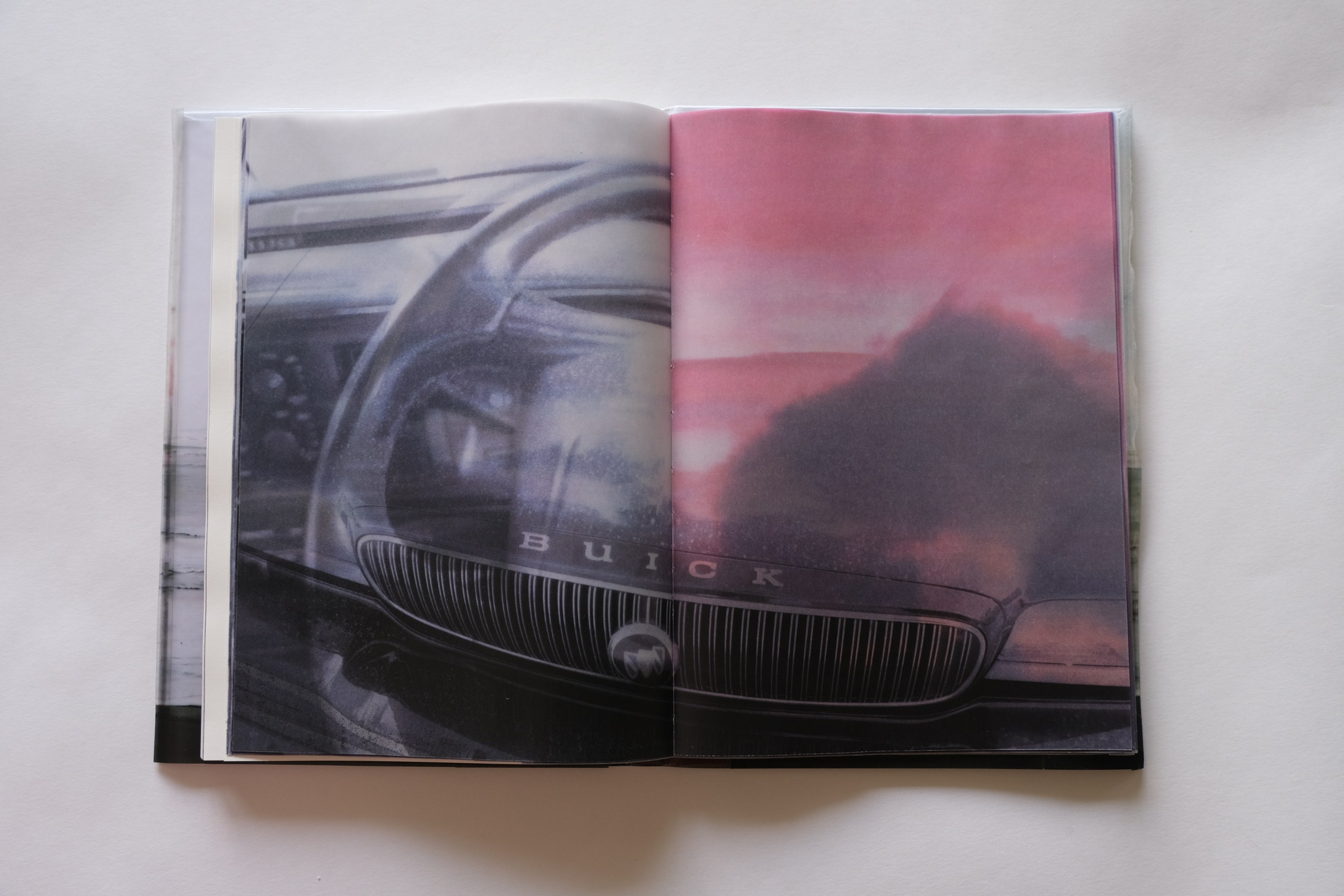 BuickleSabre1998 [книга/work in progress]. Аня белка — художница и фотограф