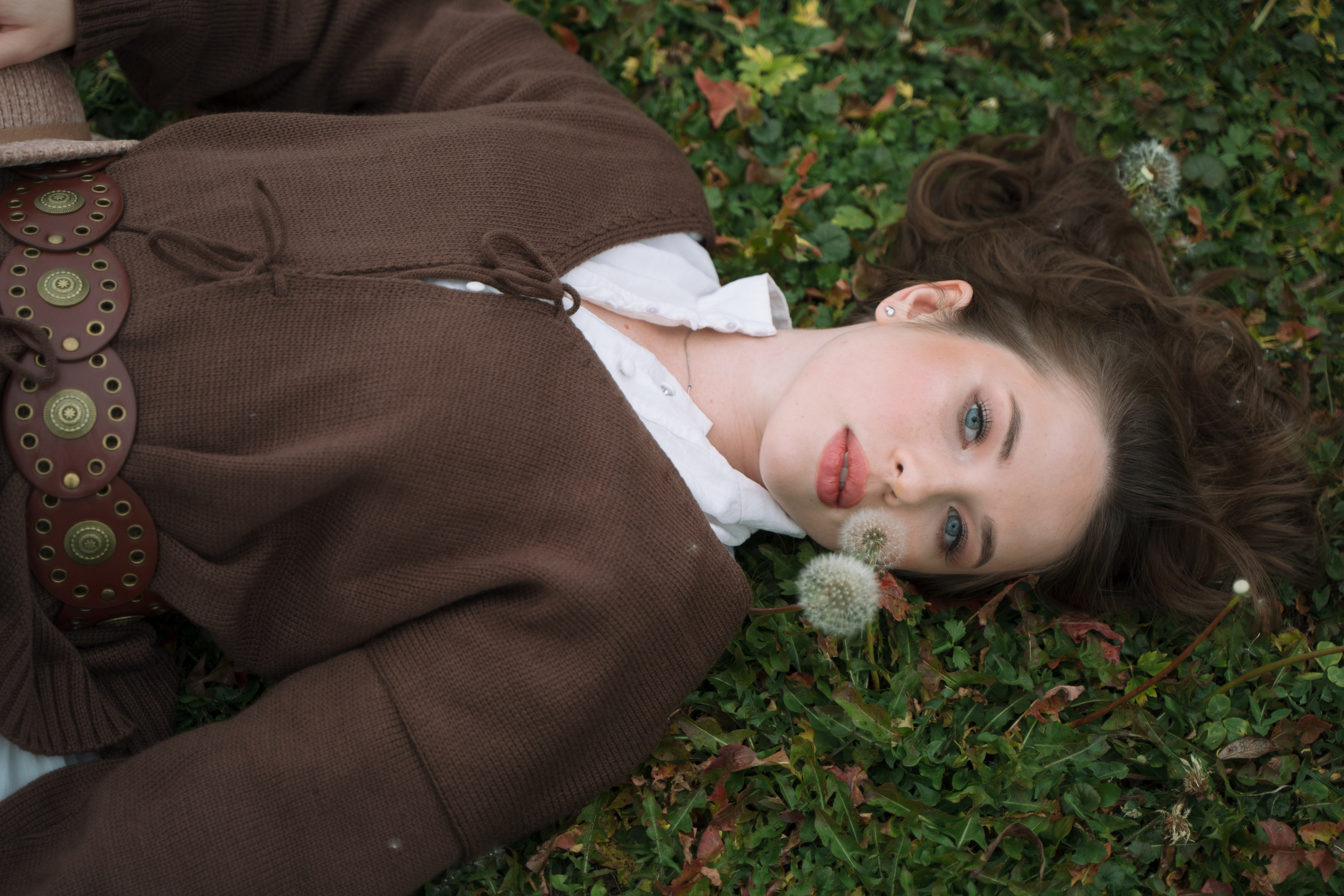 Сыч пакр. Фотограф Мария Зайчик