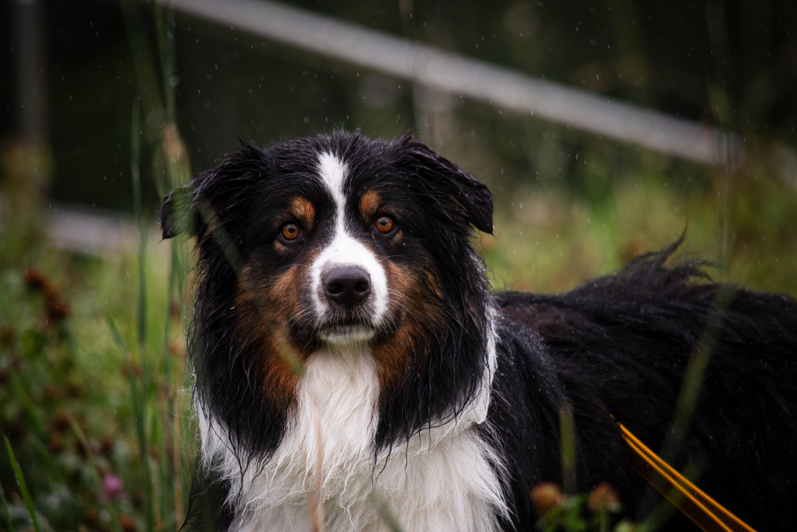 Прогулка в парке Митино. Фотограф Светлана Блинова, Москва и Московская область