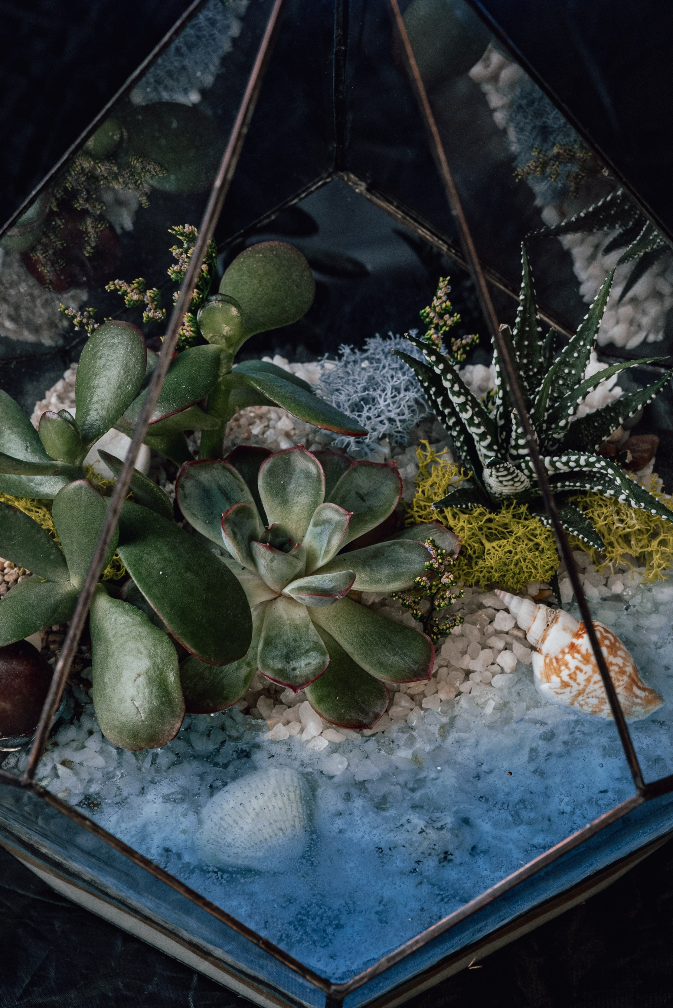 Контент-съемка для флориста. Фотограф Екатерина Шишкина. Питкяранта. Карелия