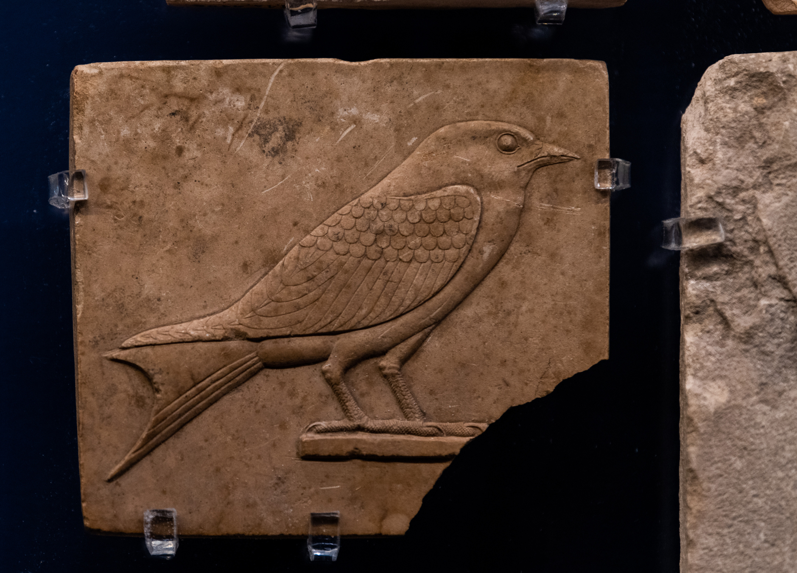 Пушкинский музей. Создание обучающих видеороликов Puponin Production