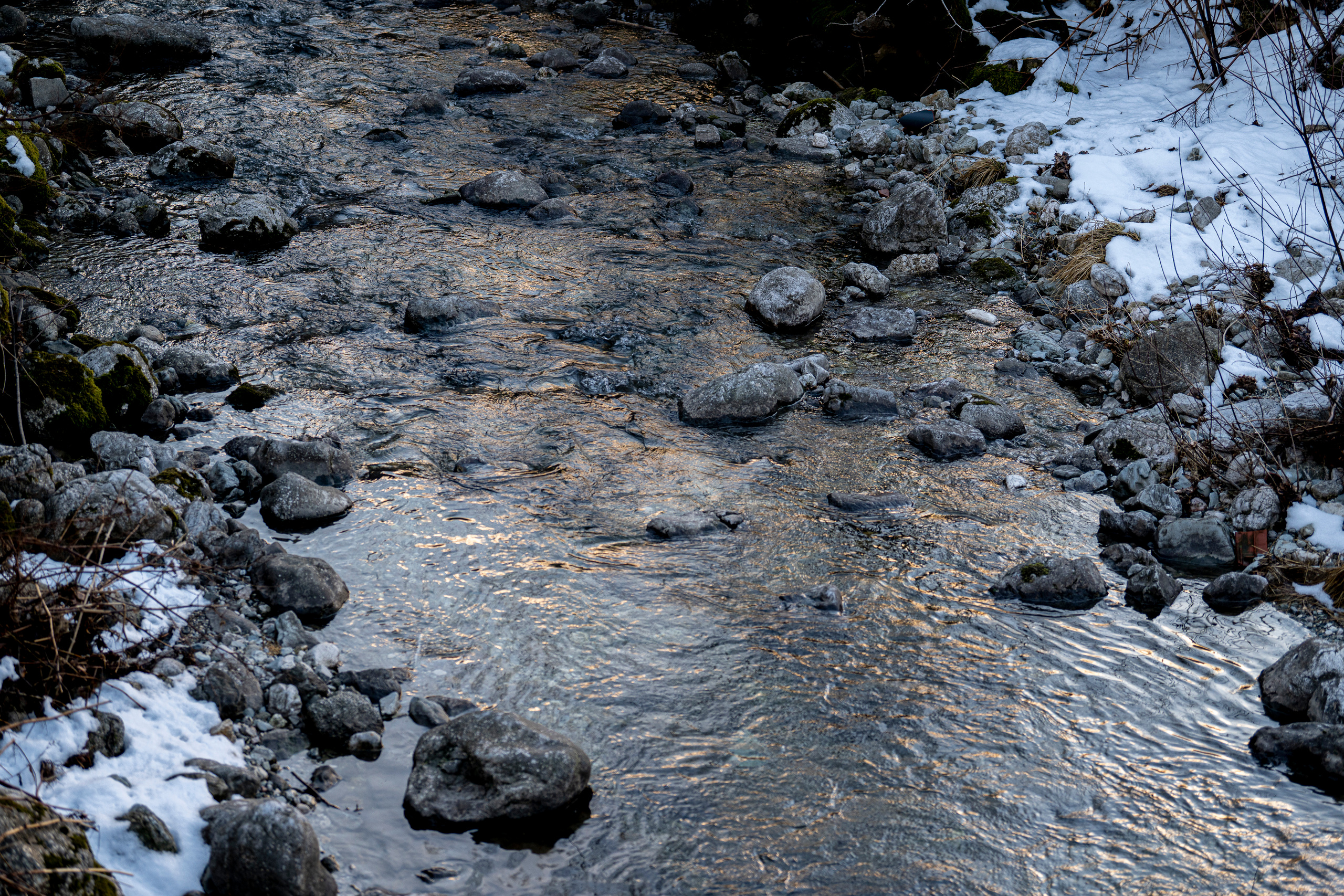 Словения 2022. Создание обучающих видеороликов Puponin Production