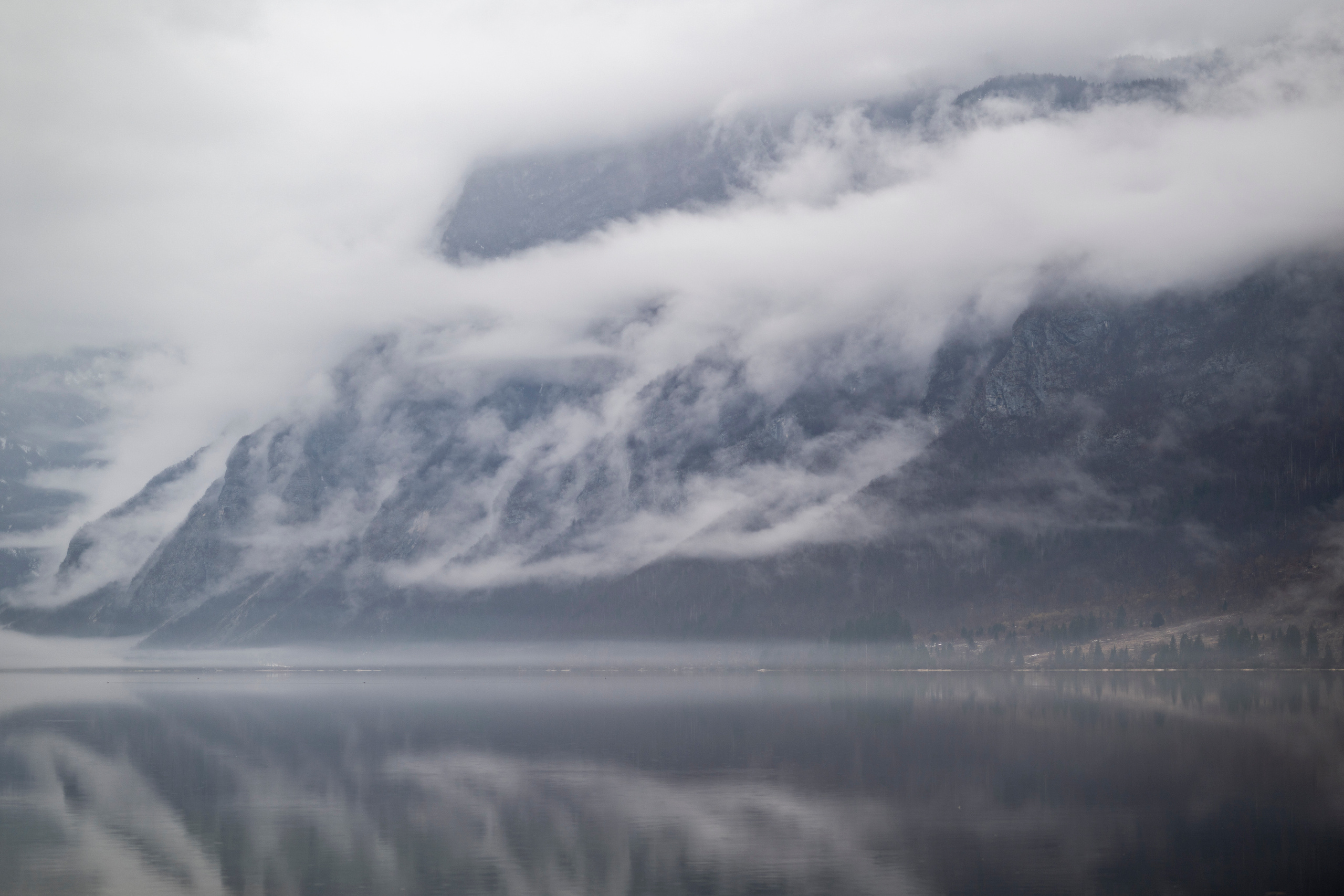 Словения 2022. Создание обучающих видеороликов Puponin Production