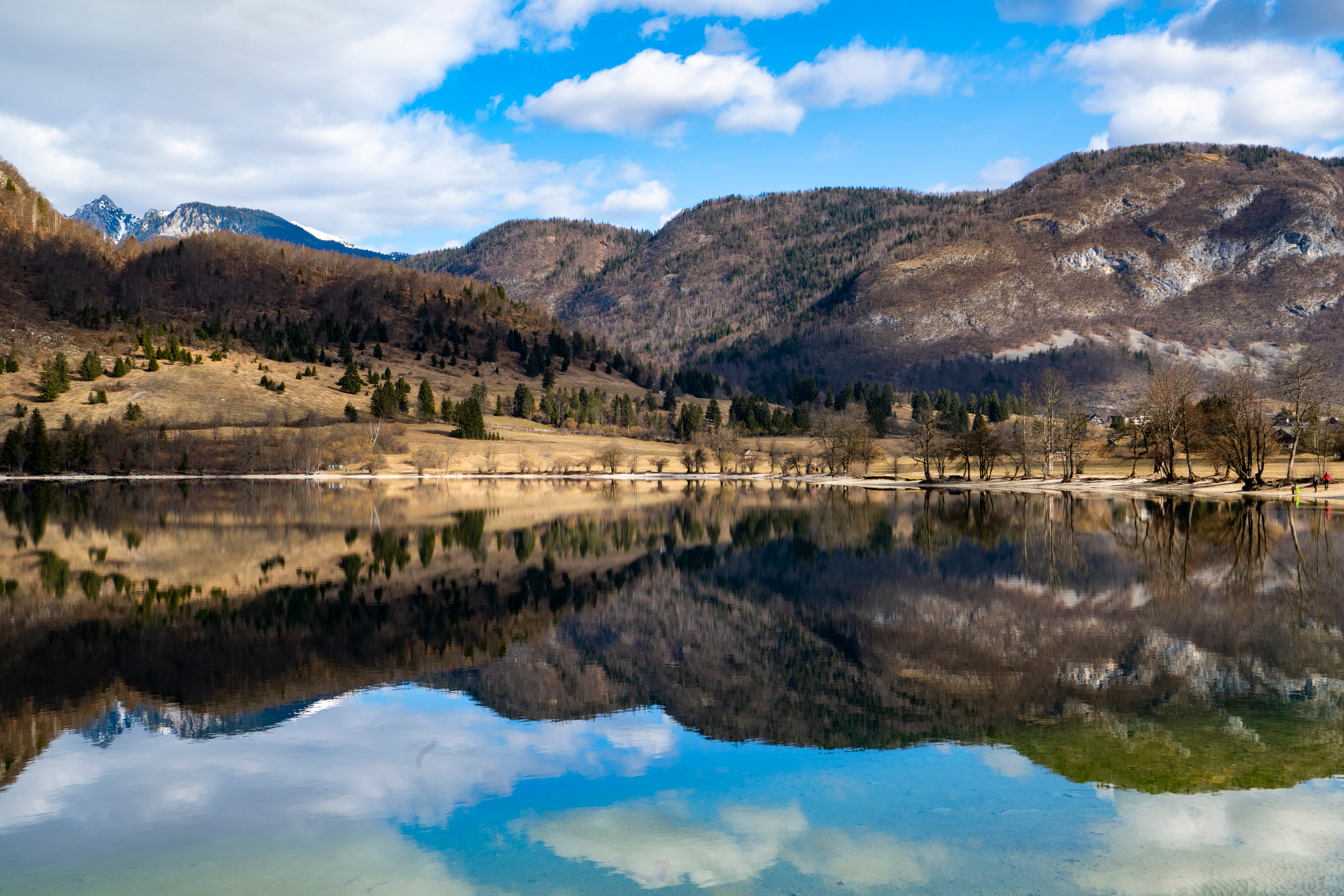 Словения 2022. Создание обучающих видеороликов Puponin Production