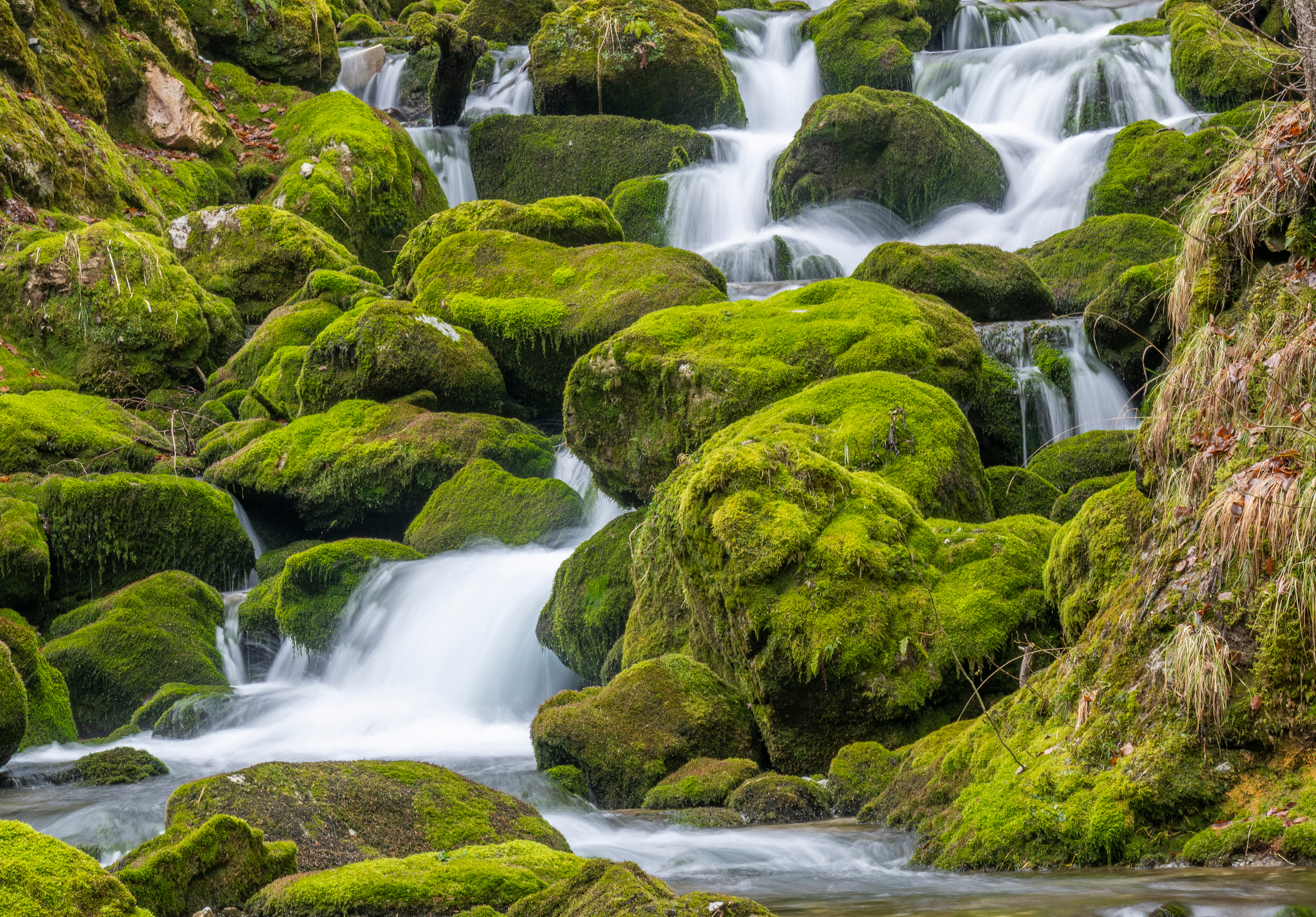 Словения 2022. Создание обучающих видеороликов Puponin Production