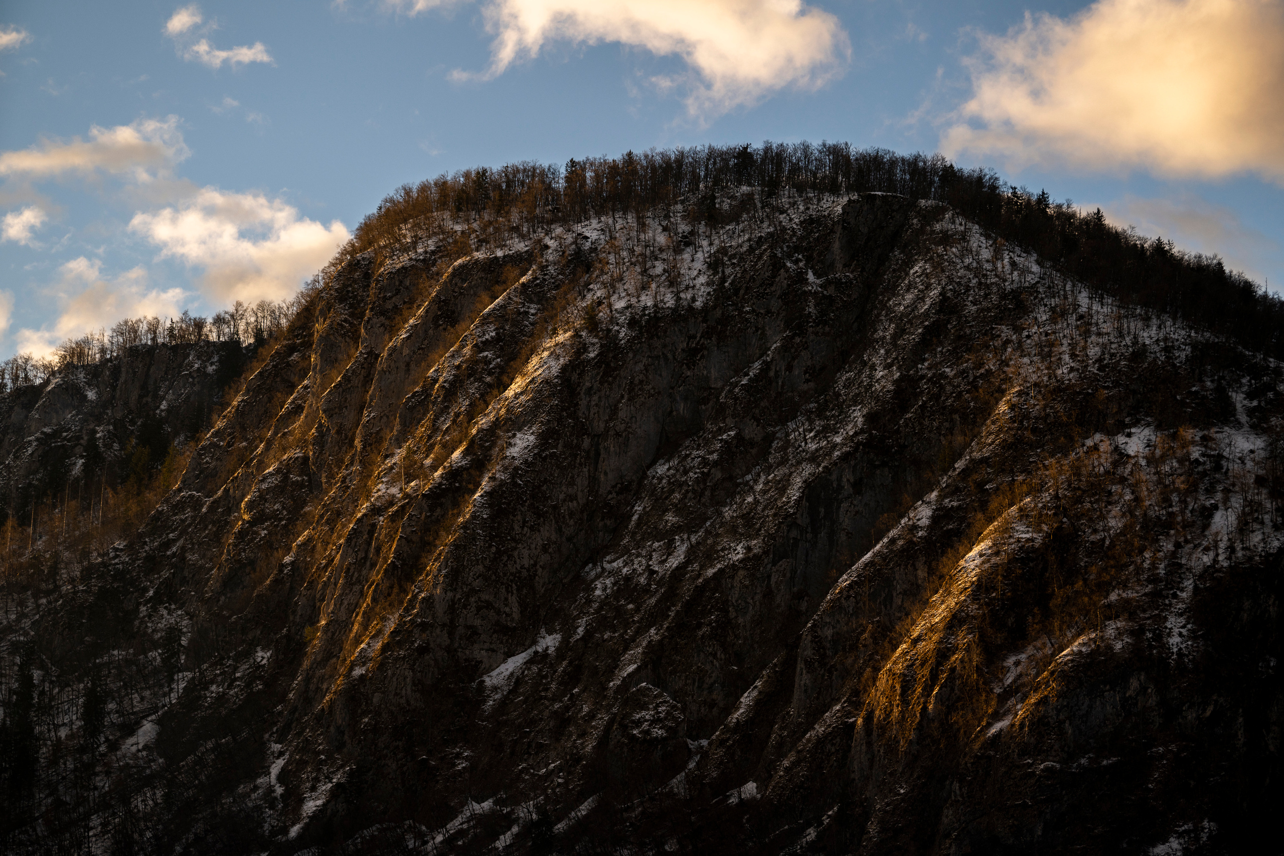 Словения 2022. Создание обучающих видеороликов Puponin Production