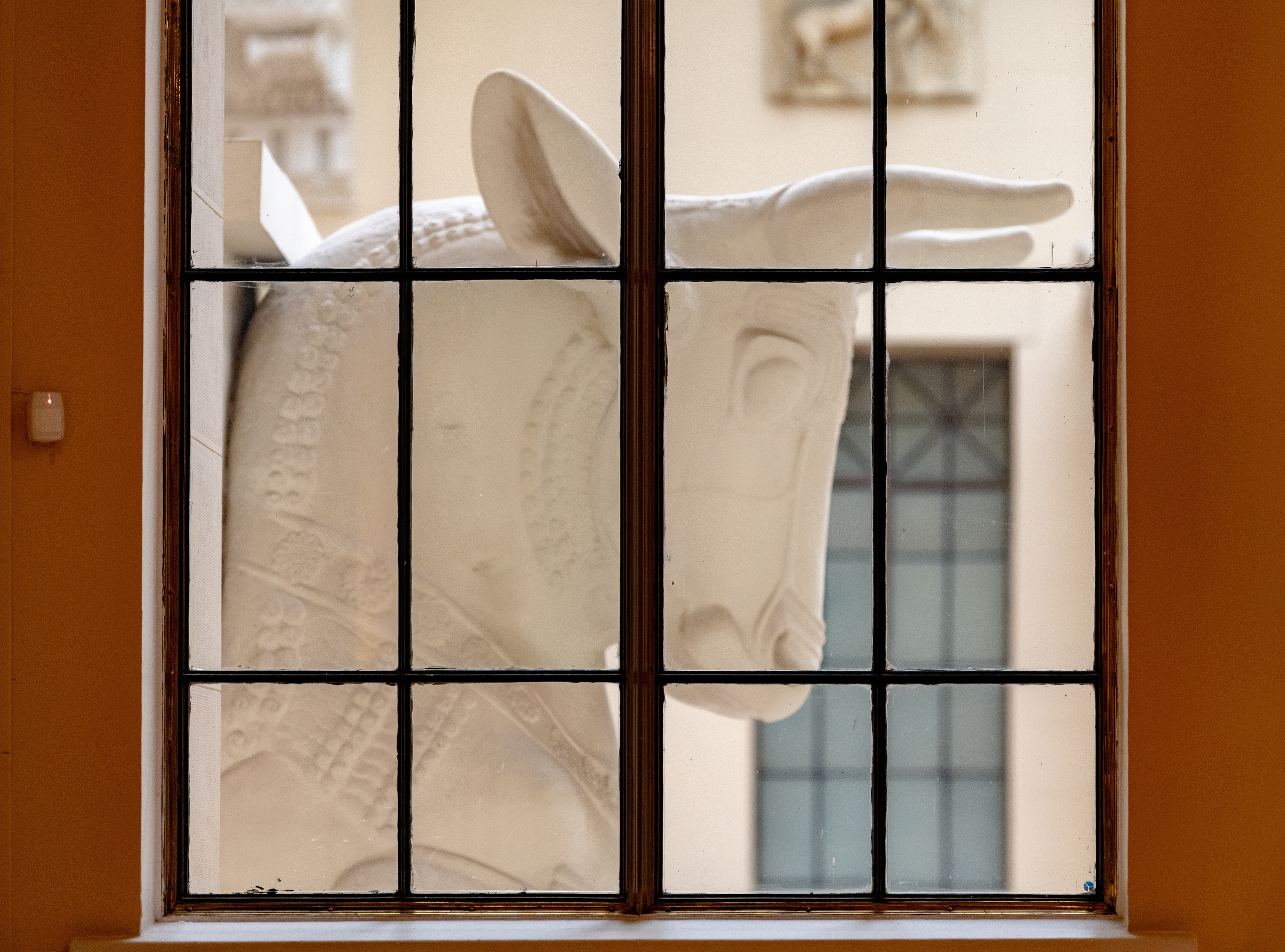 Пушкинский музей. Создание обучающих видеороликов Puponin Production