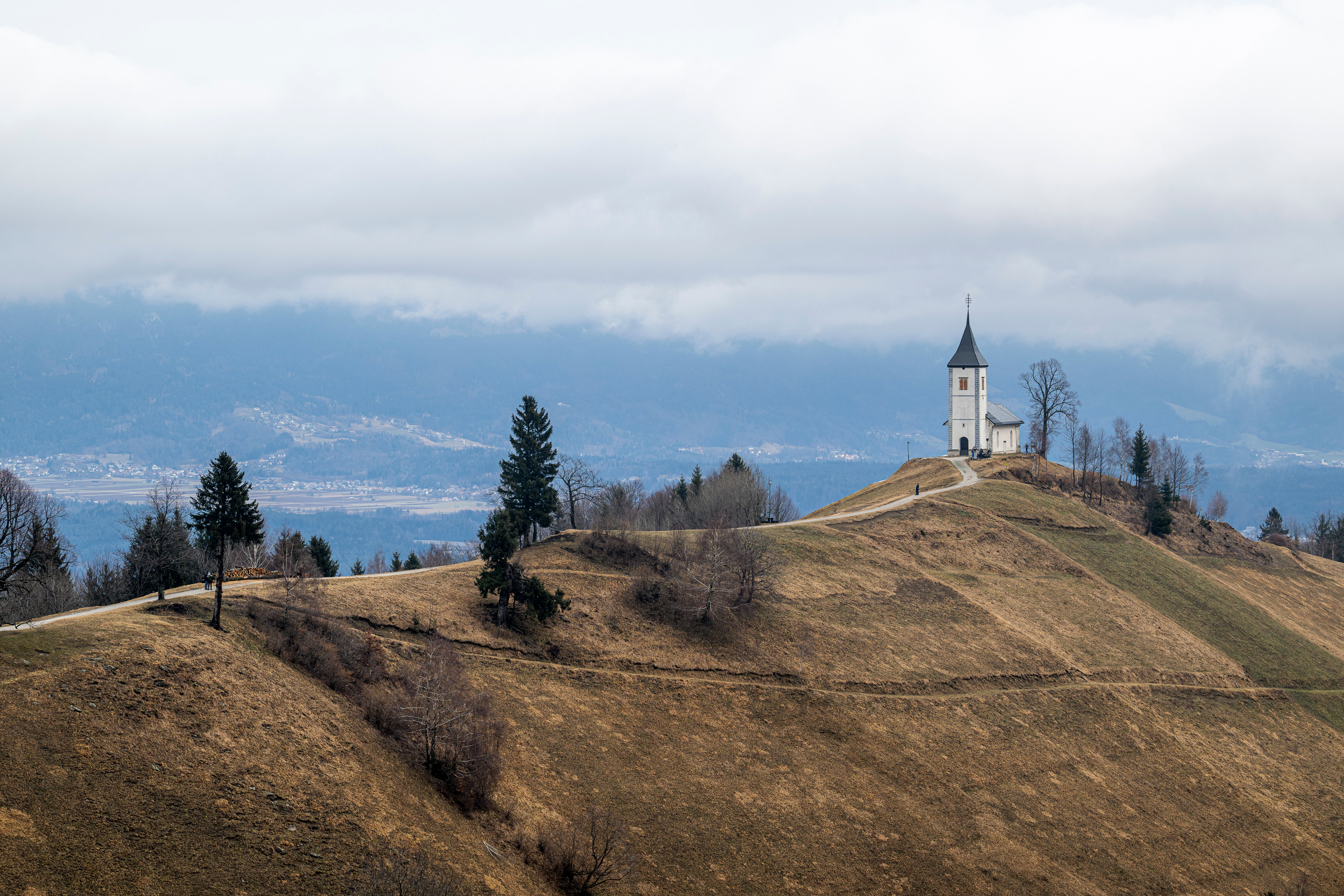 Словения 2022. Создание обучающих видеороликов Puponin Production