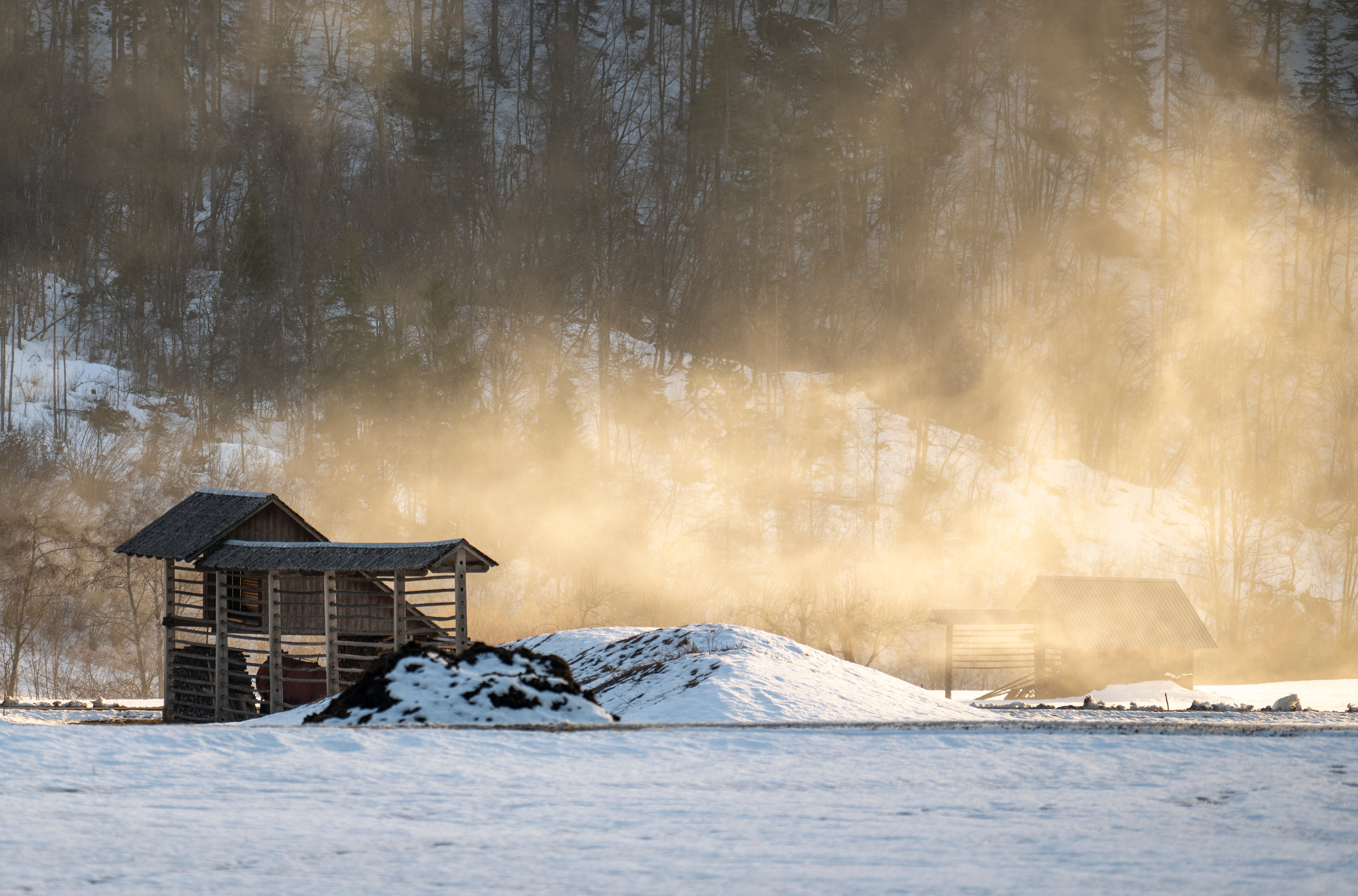 Словения 2022. Создание обучающих видеороликов Puponin Production
