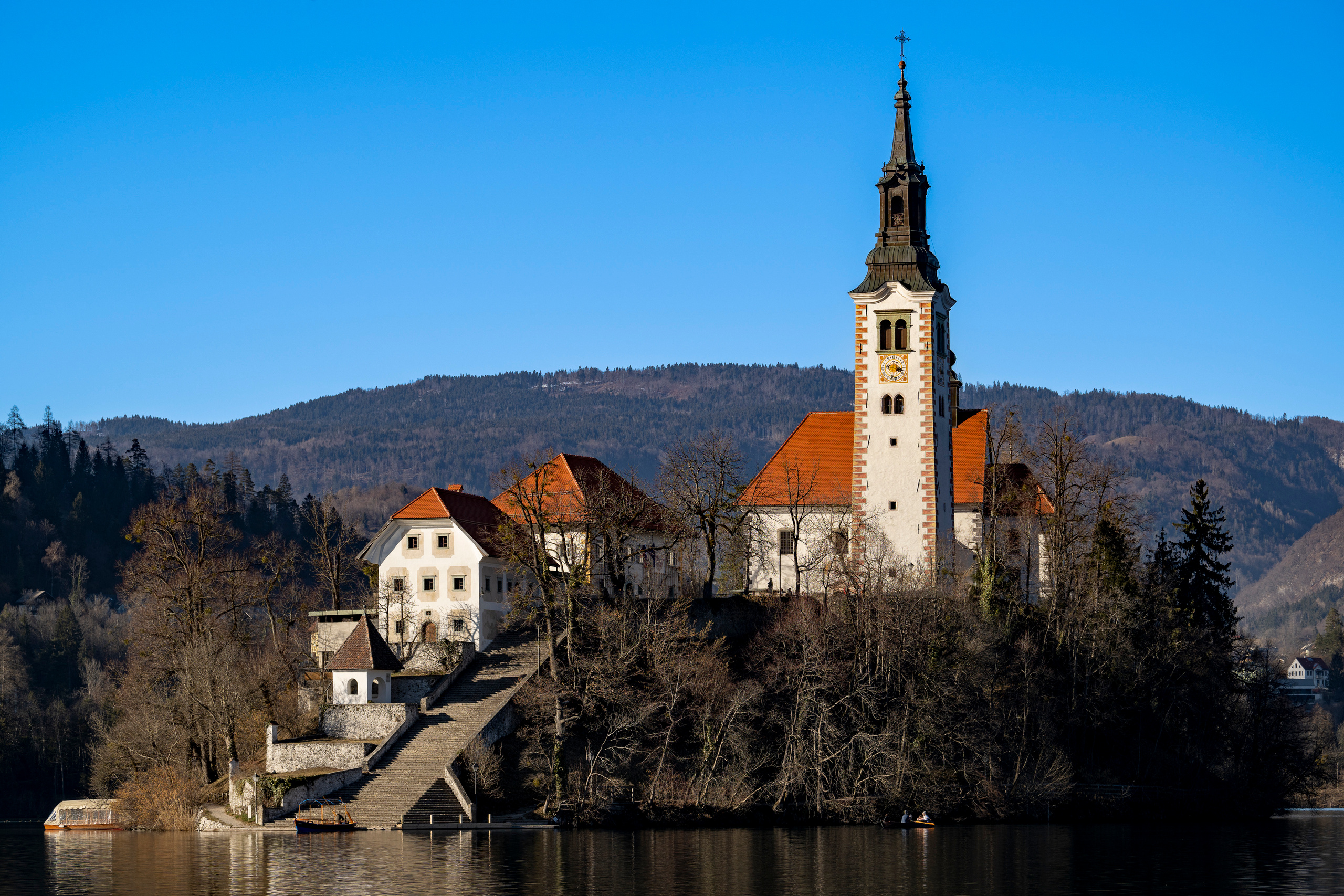 Словения 2022. Создание обучающих видеороликов Puponin Production