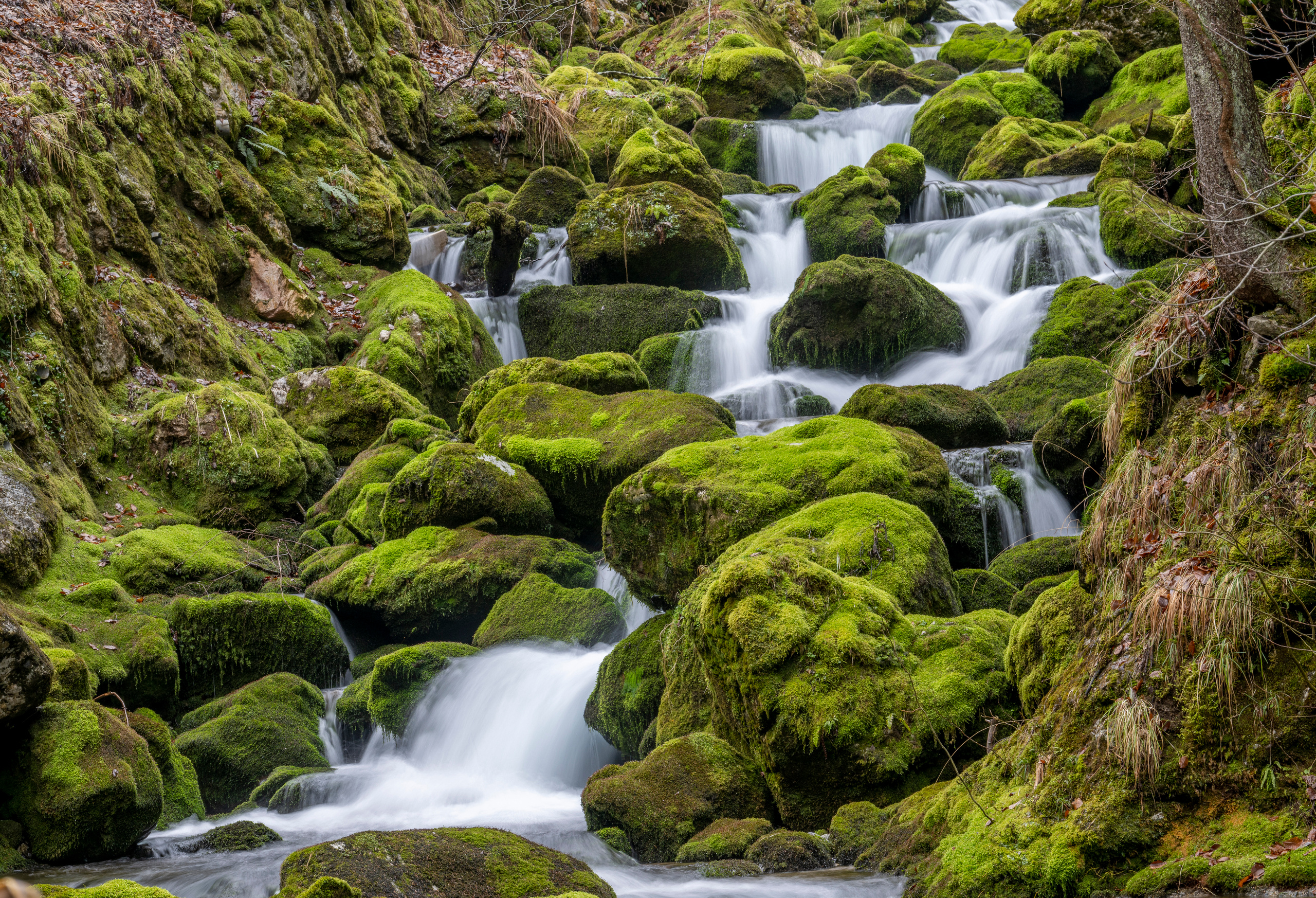 Словения 2022. Создание обучающих видеороликов Puponin Production