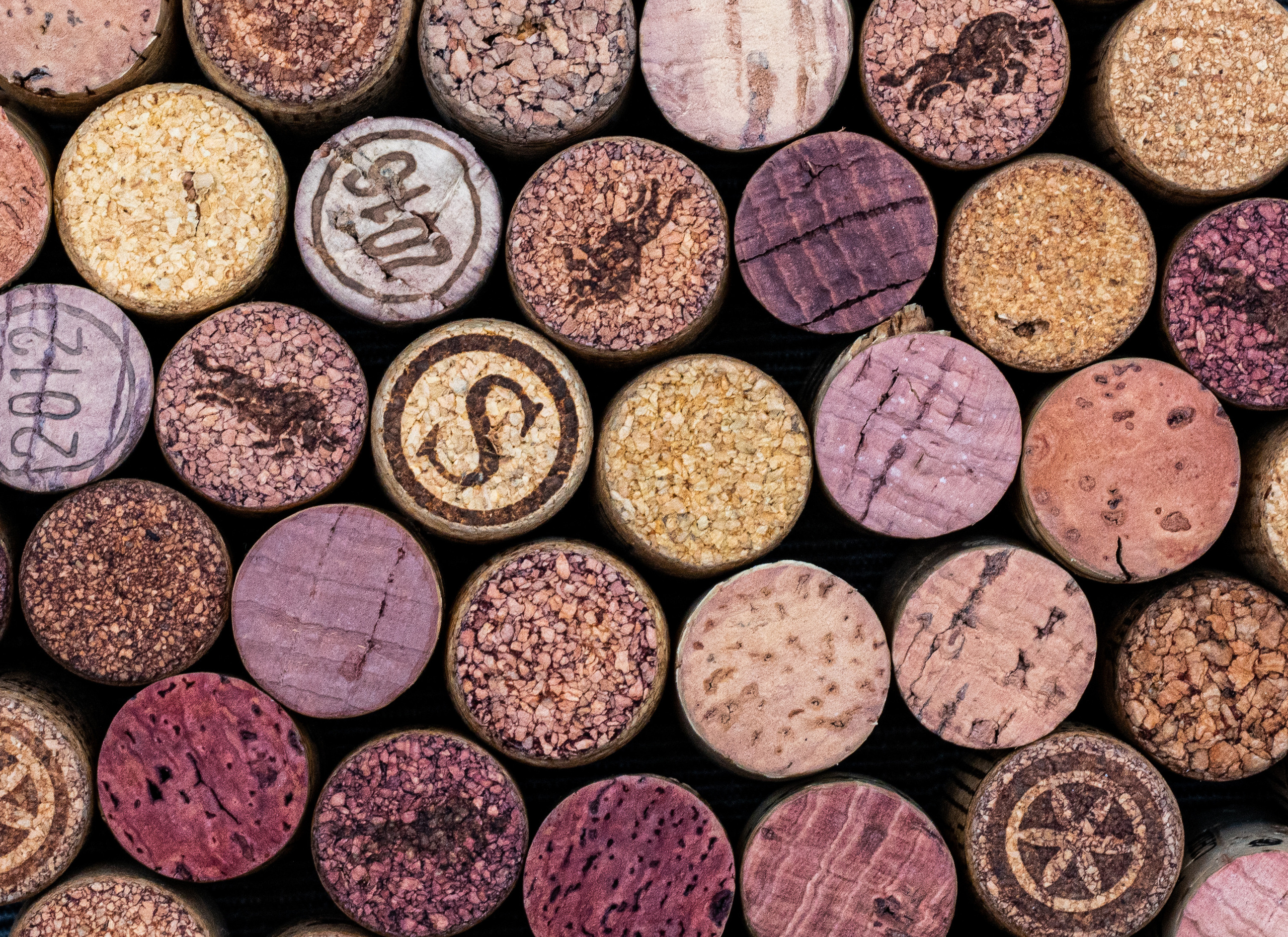 Пробки. Создание обучающих видеороликов Puponin Production