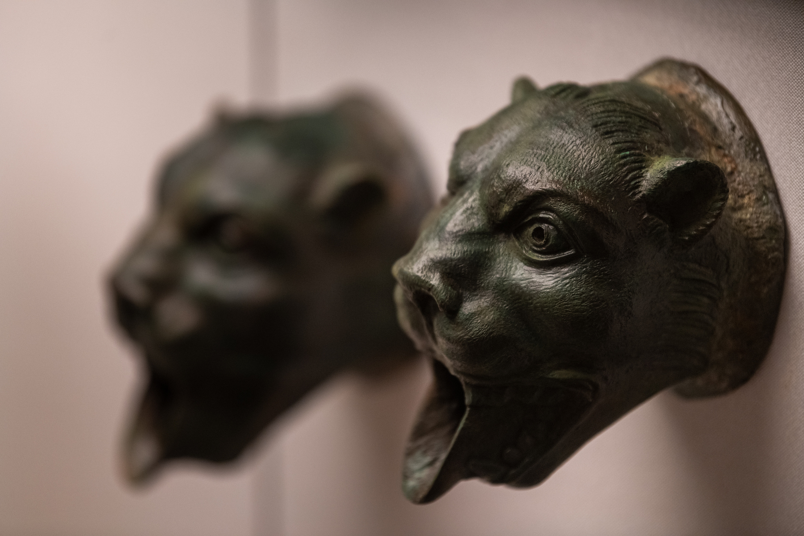 Пушкинский музей. Создание обучающих видеороликов Puponin Production