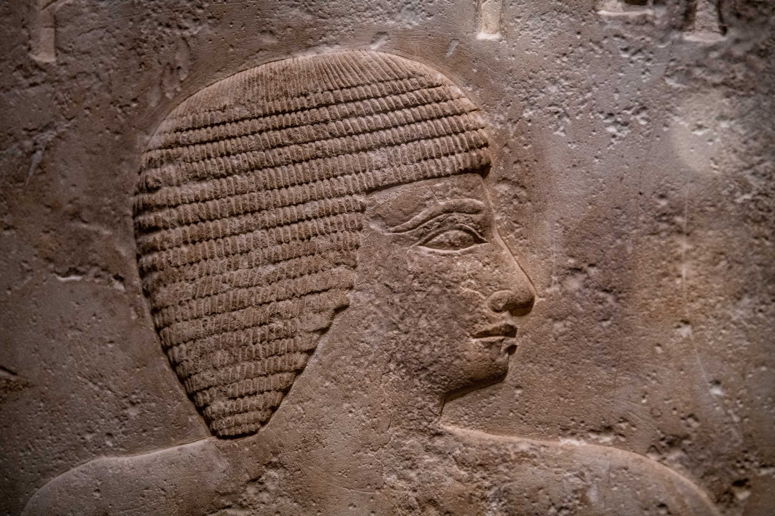 Пушкинский музей. Создание обучающих видеороликов Puponin Production