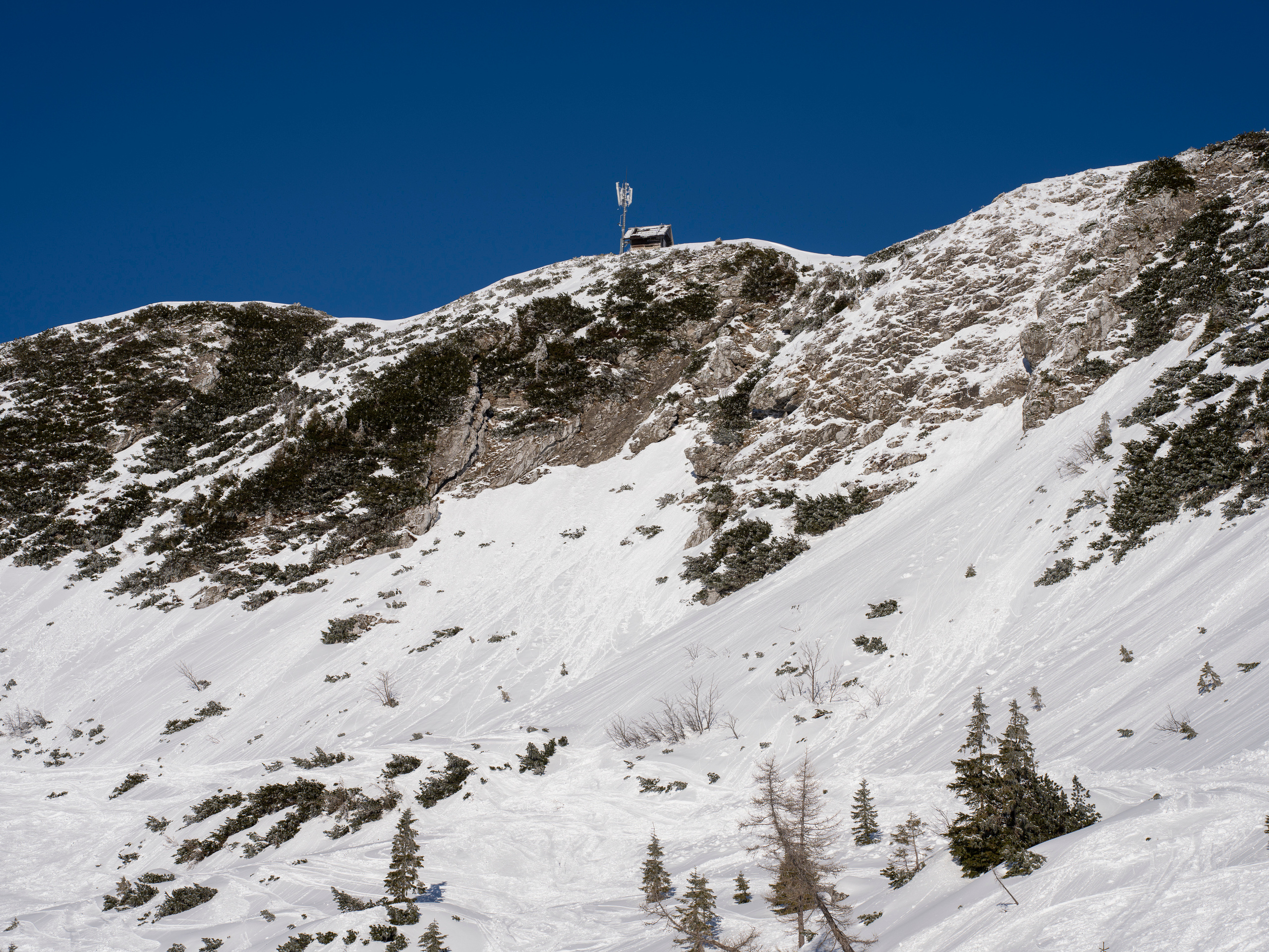 Словения 2022. Создание обучающих видеороликов Puponin Production