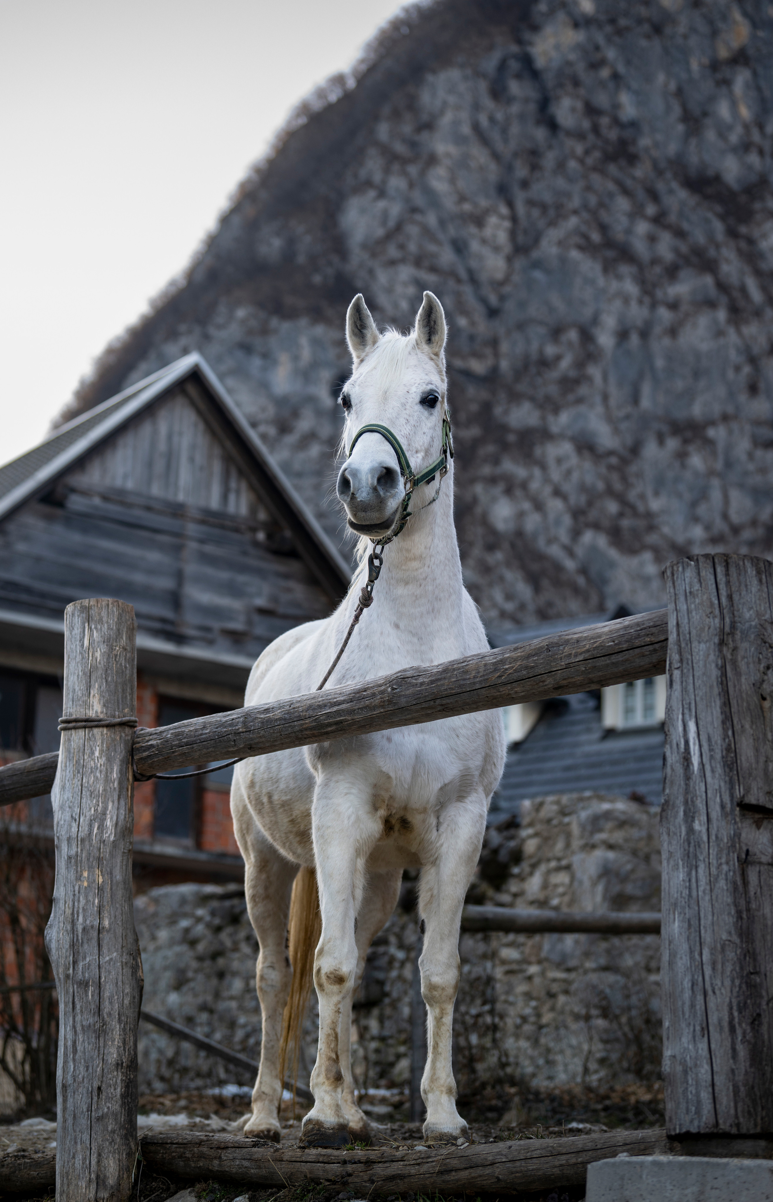 Словения 2022. Создание обучающих видеороликов Puponin Production