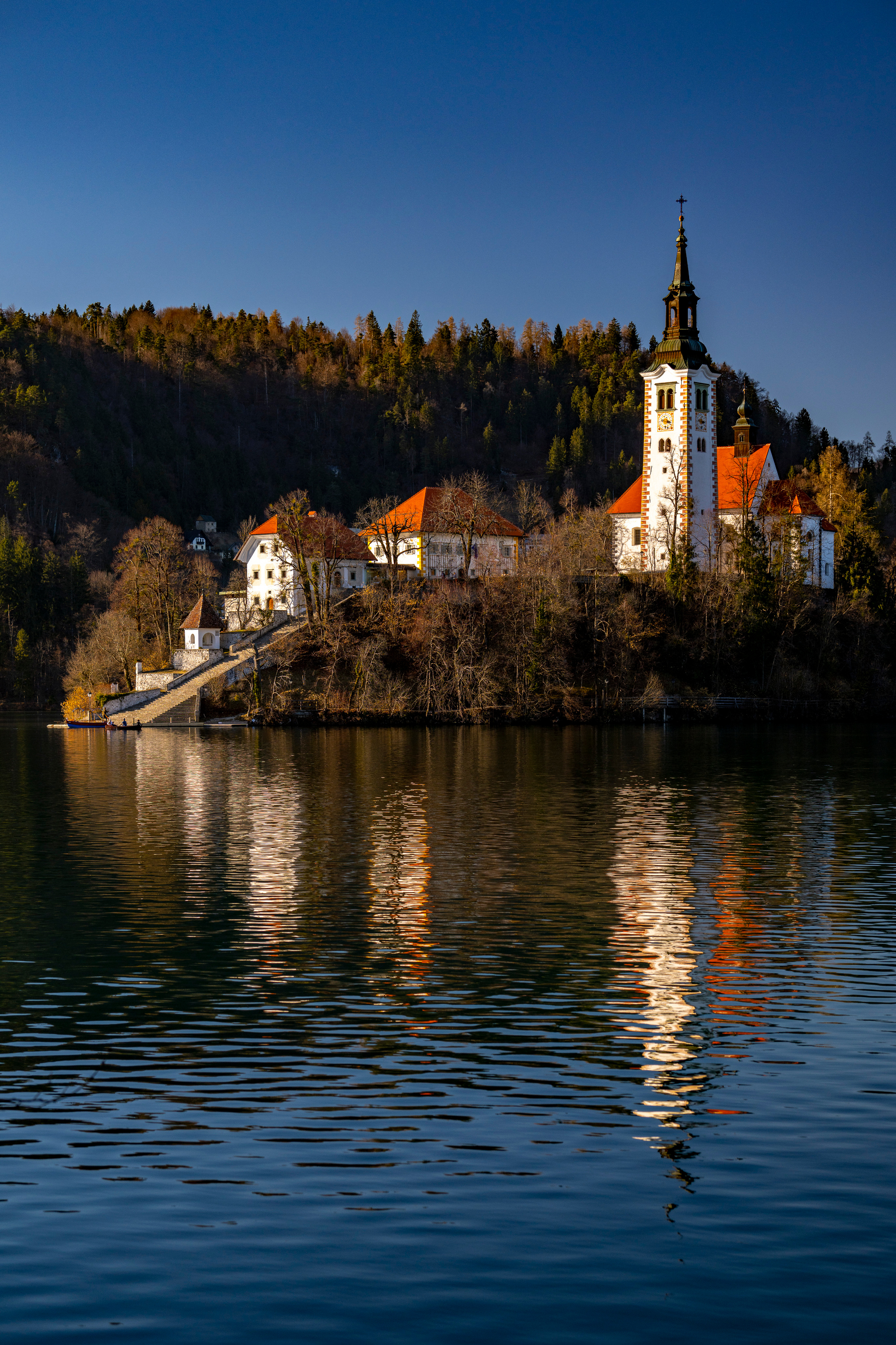 Словения 2022. Создание обучающих видеороликов Puponin Production