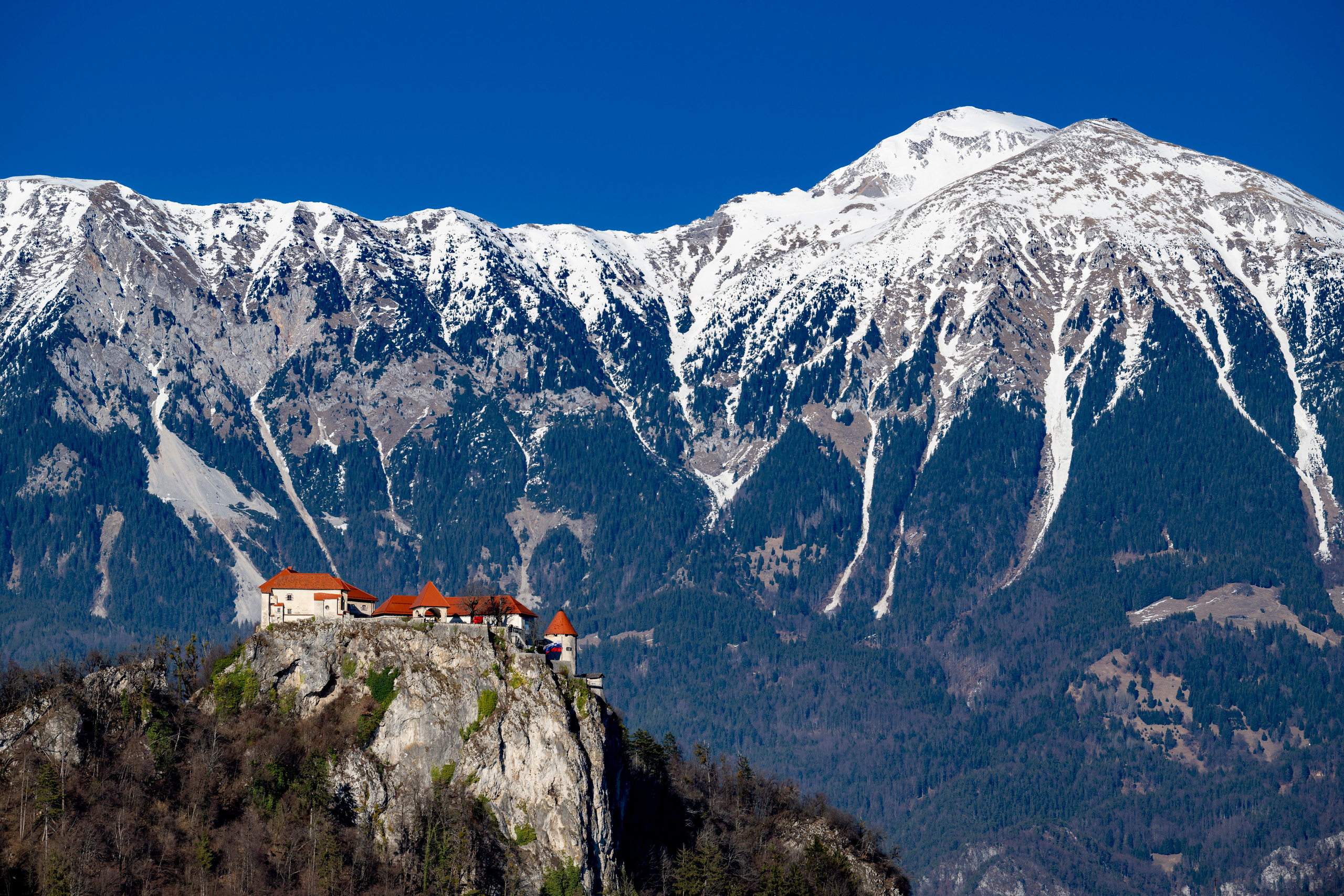 Словения 2022. Создание обучающих видеороликов Puponin Production