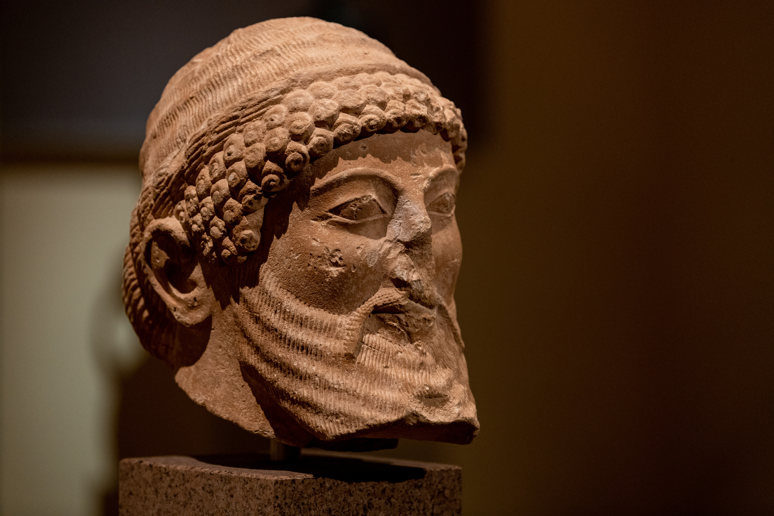 Пушкинский музей. Создание обучающих видеороликов Puponin Production