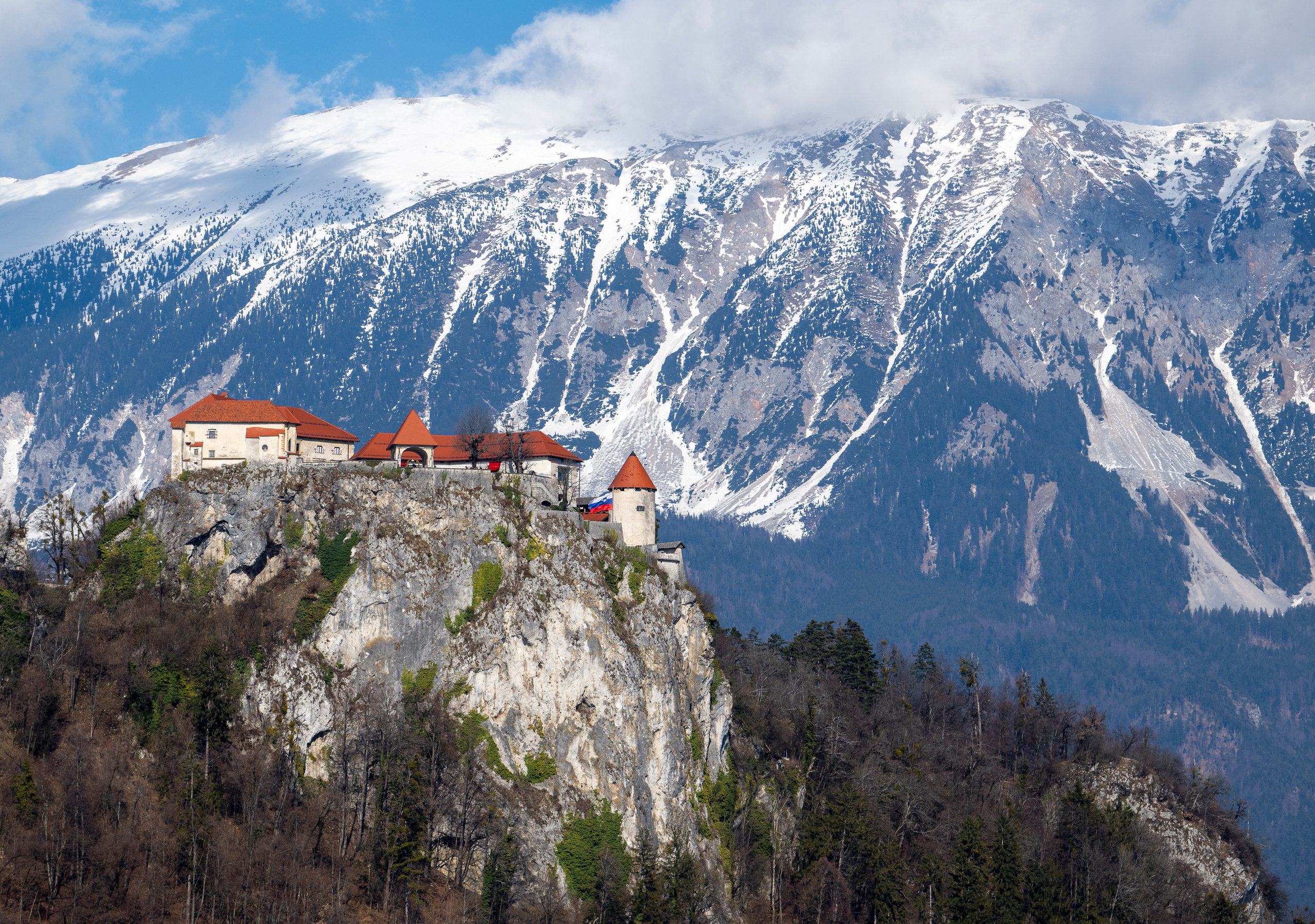 Словения 2022. Создание обучающих видеороликов Puponin Production