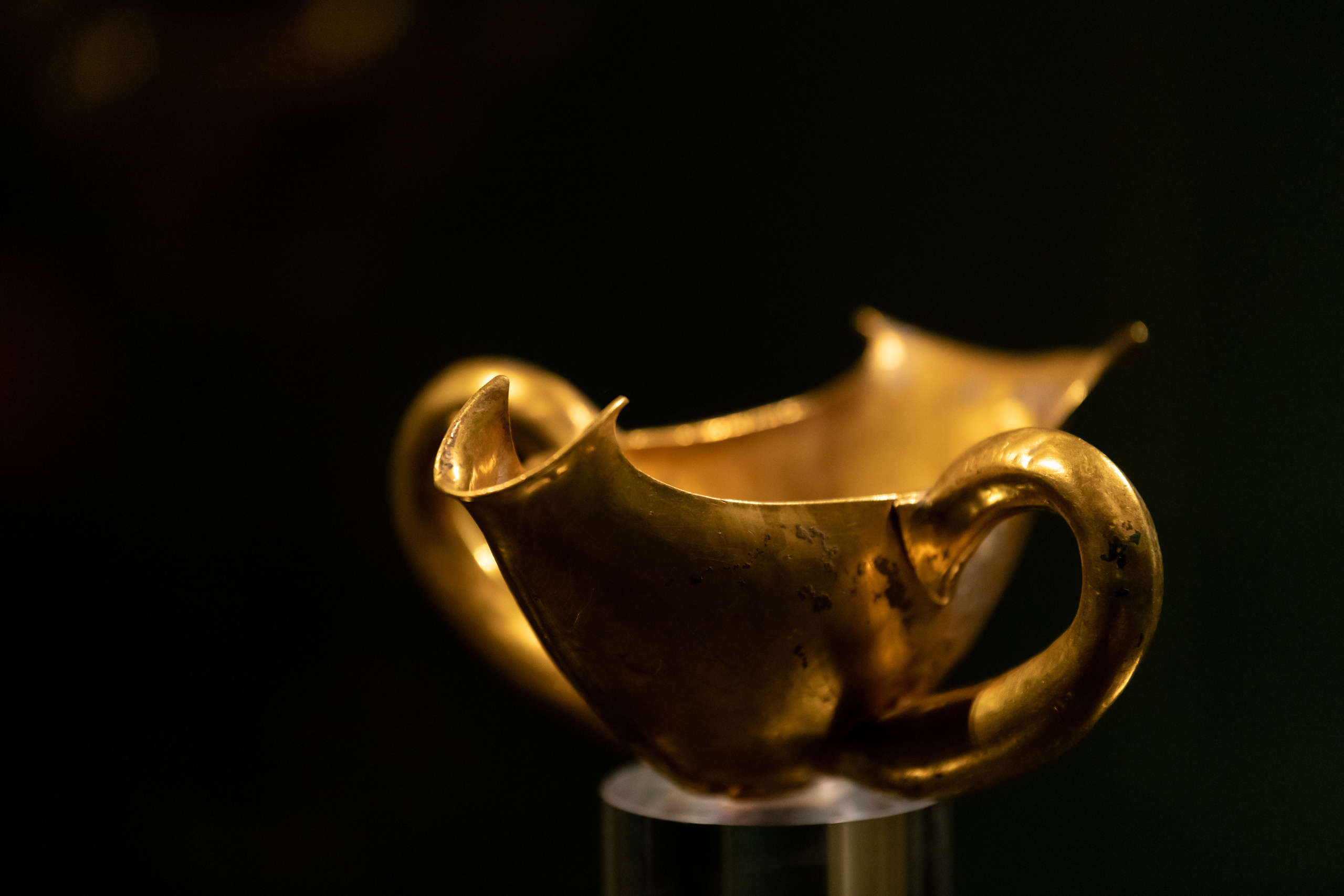 Пушкинский музей. Создание обучающих видеороликов Puponin Production