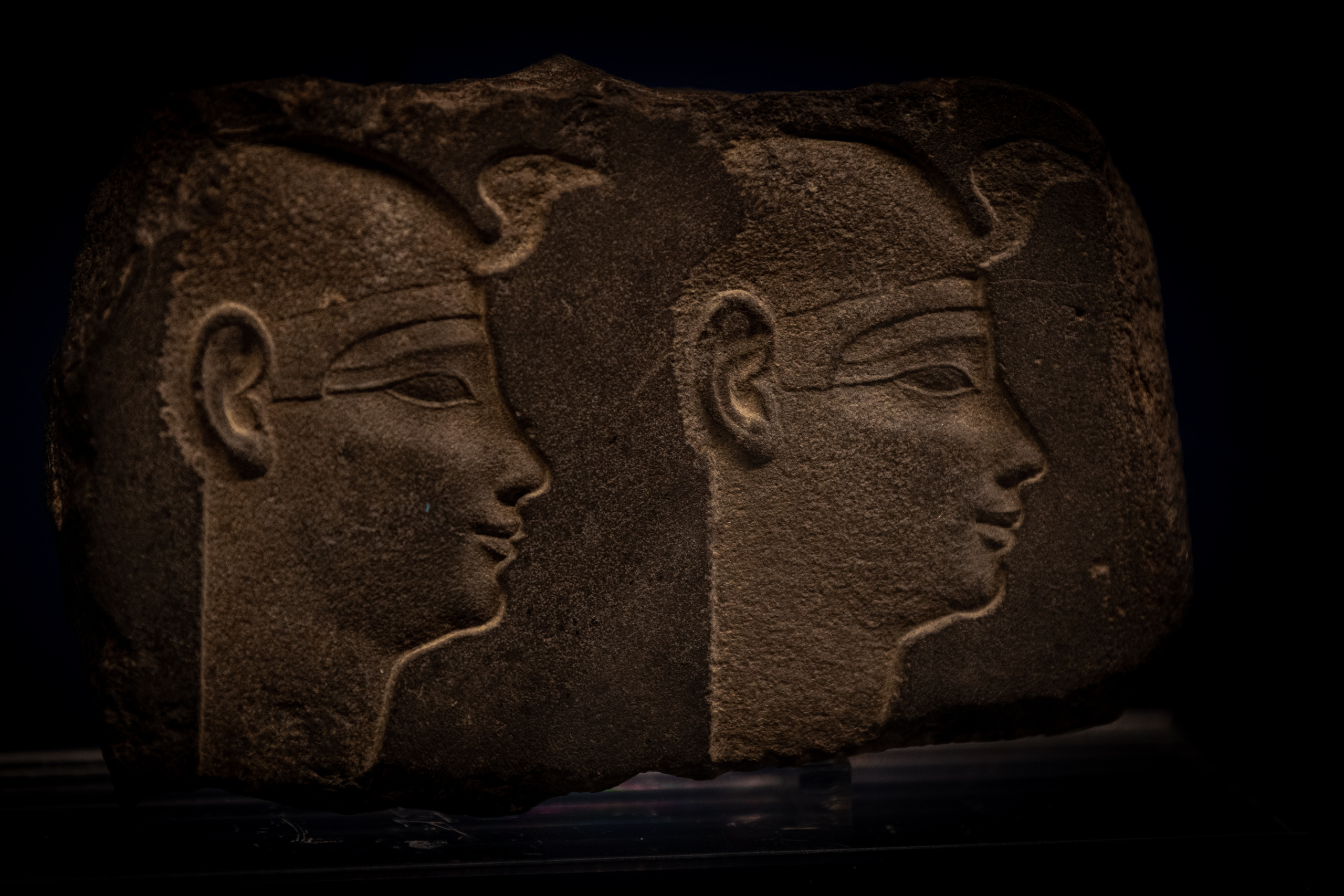 Пушкинский музей. Создание обучающих видеороликов Puponin Production