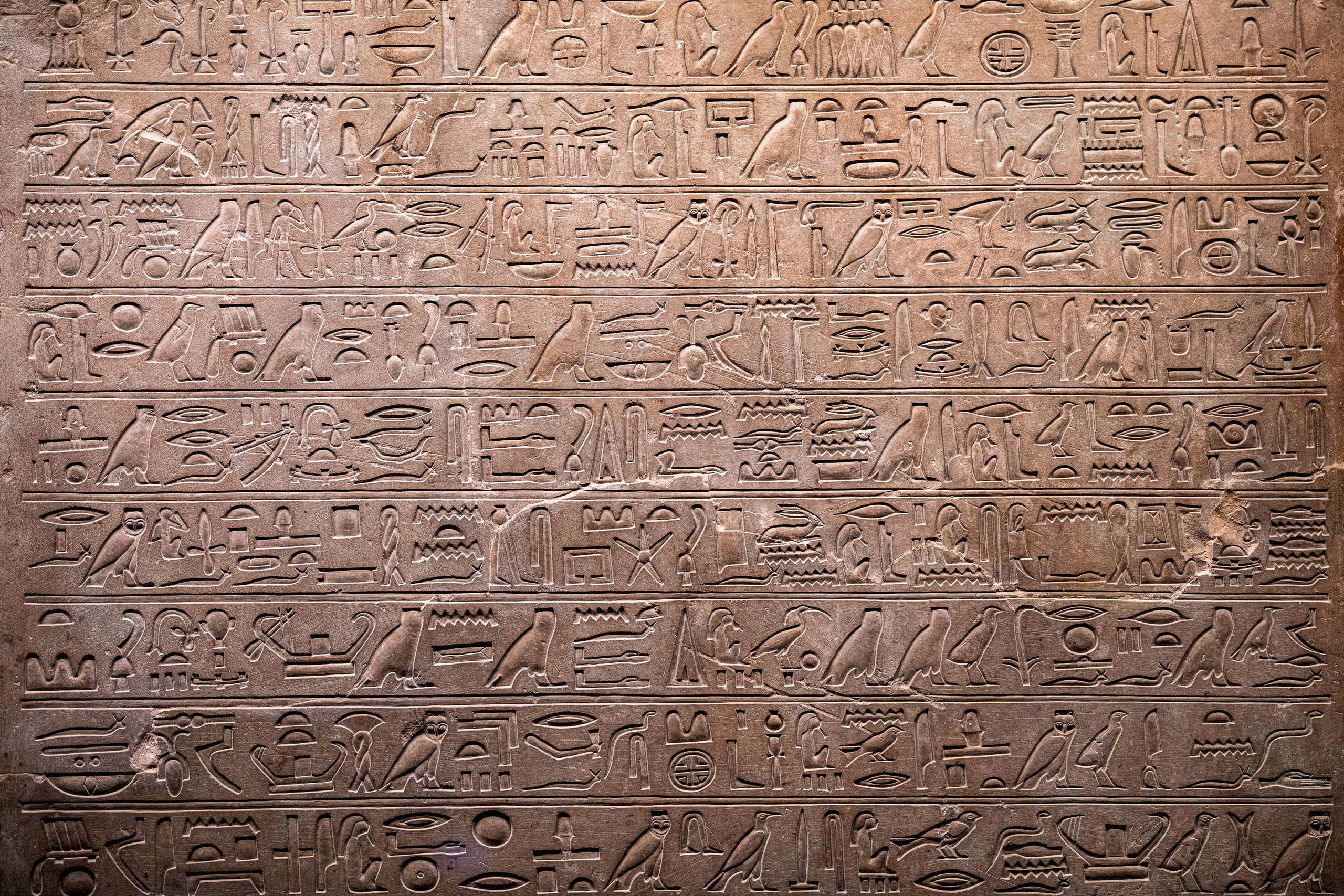 Пушкинский музей. Создание обучающих видеороликов Puponin Production