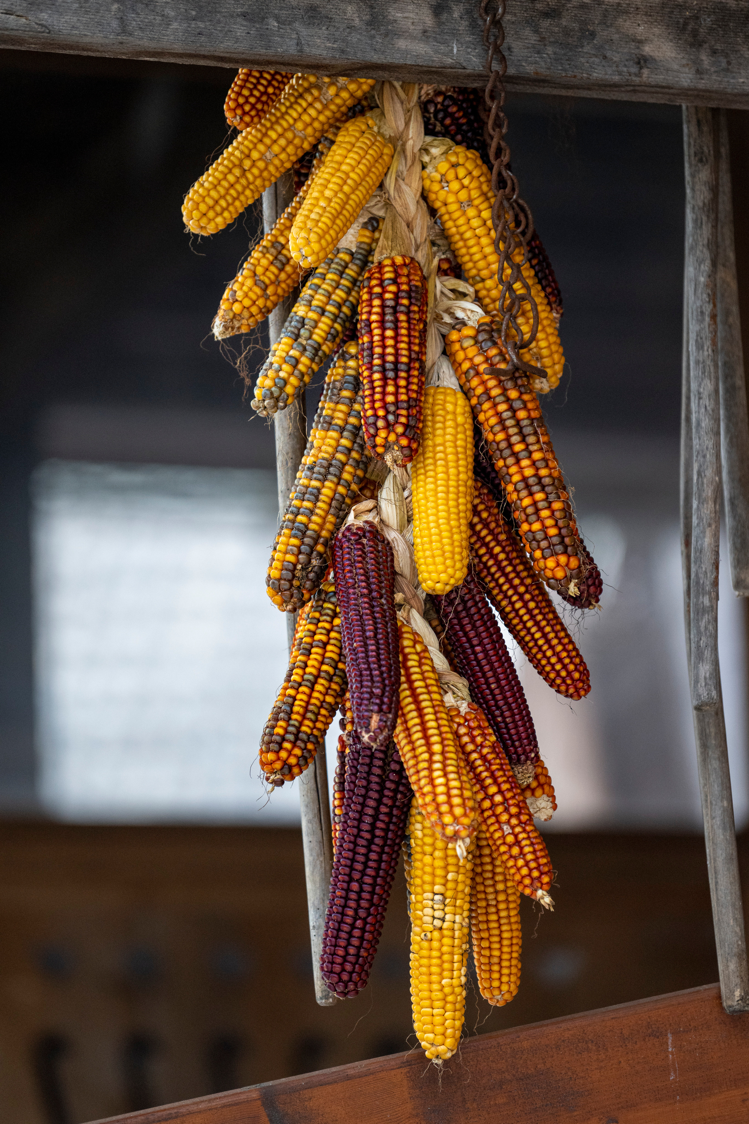 Словения 2022. Создание обучающих видеороликов Puponin Production