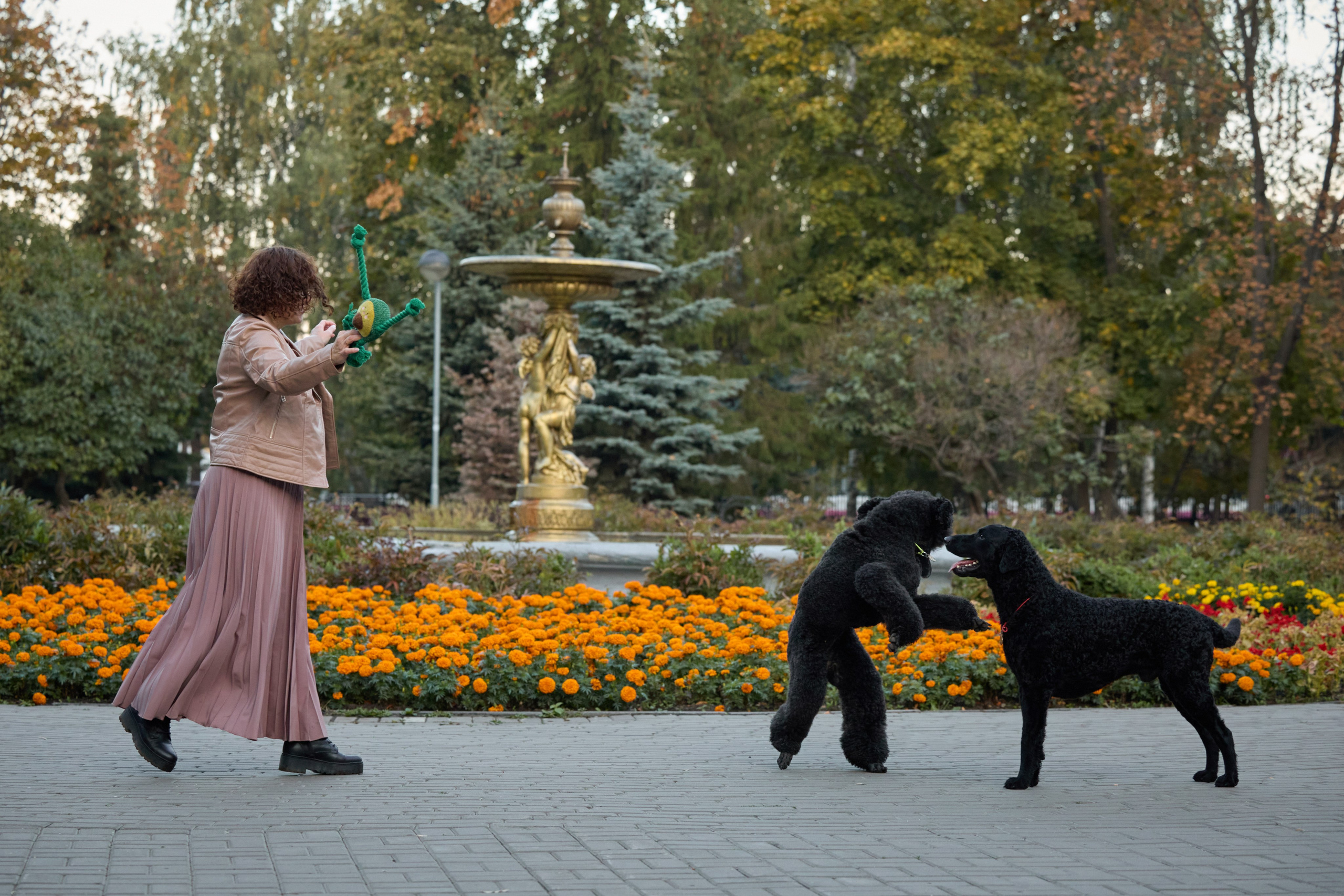 Альбина. Марфа и Мистик. Прогулка в парке. Фотограф анималист в Казани Алина Сулейманова. Фотограф животных