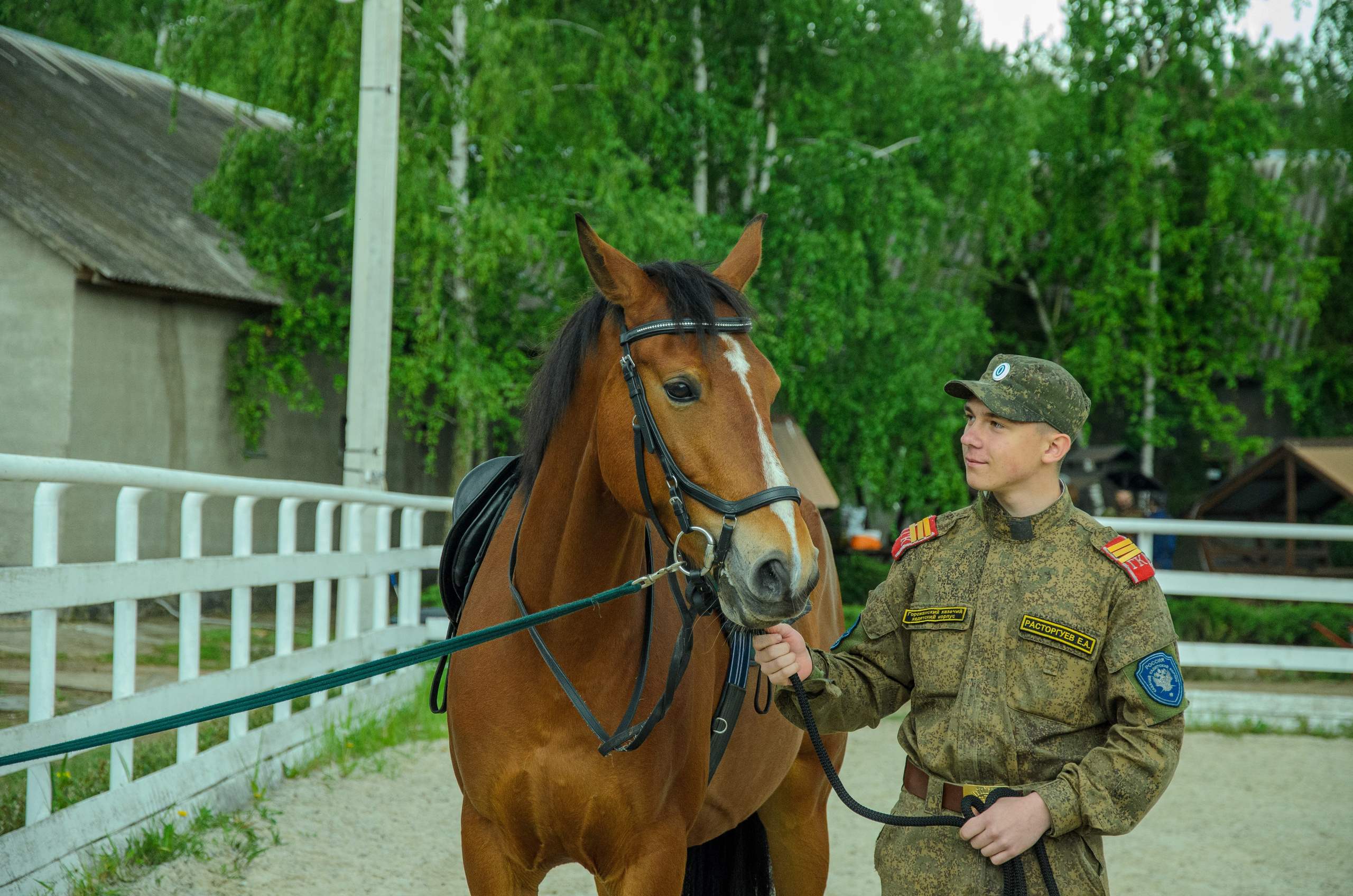 Соревнования «Донской Кавалер». Мультифотограф Виктория Лихоманова